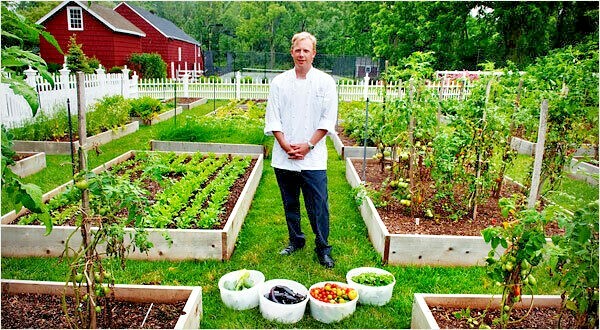HEIRLOOM SALAD GARDEN SEEDS lettuce, spinach, tomato, radish, zuke NON-GMO!