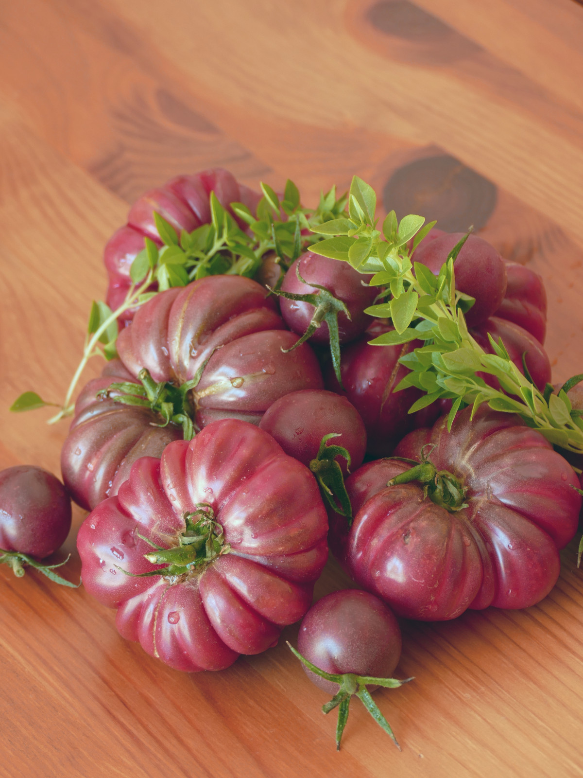 40 PURPLE CALABASH TOMATO Solanum Lycopersicum Indeterminate Heirloom Seeds