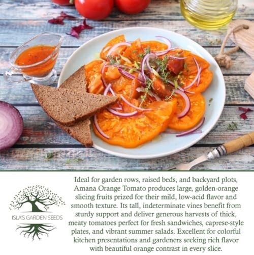 Amana Orange Beefsteak Tomato Seeds (Solanum lycopersicum) – 50+ Heirloom Non