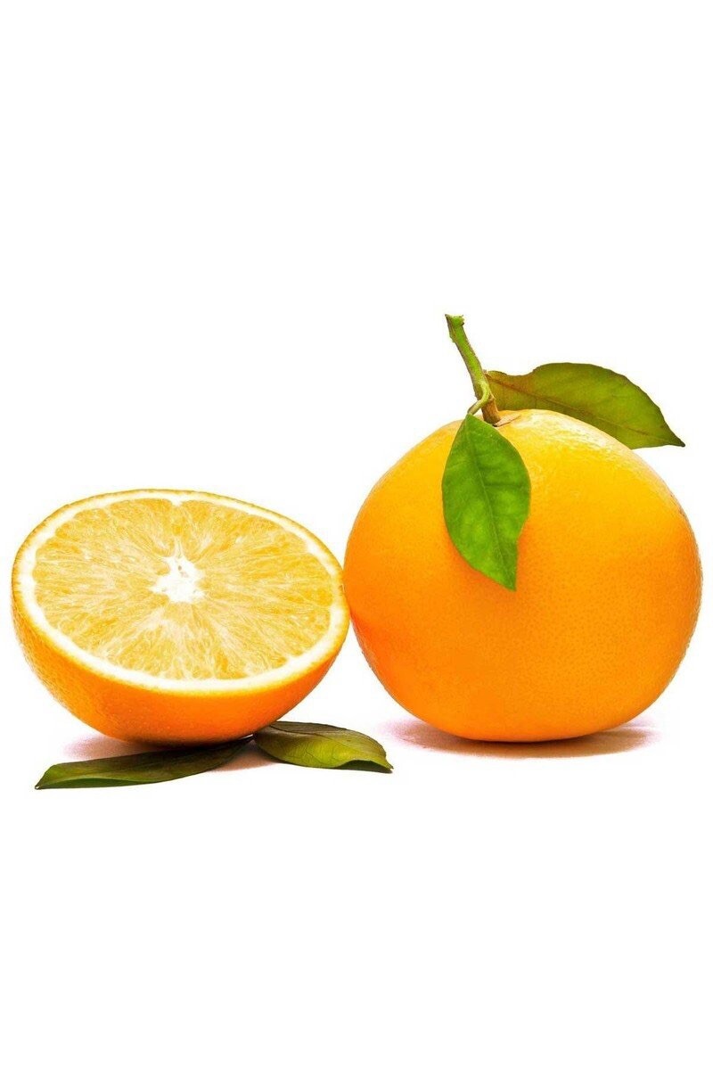 Florida Only!! Seedless Pineapple Orange Tree, 26-30” tall, grafted plant