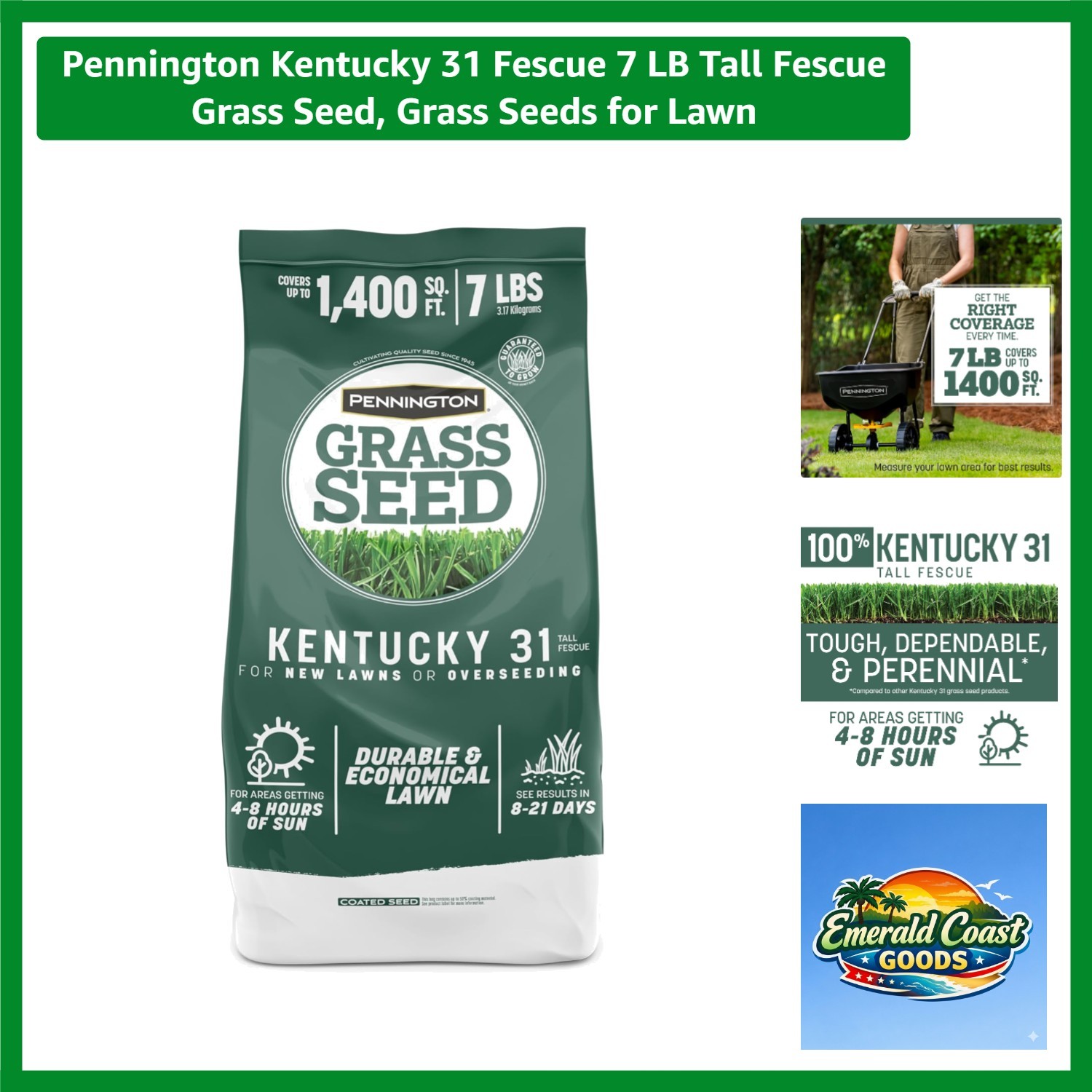 Kentucky 31 Fescue Grass Seed – 7 LB for Quick Establishment and Resilience