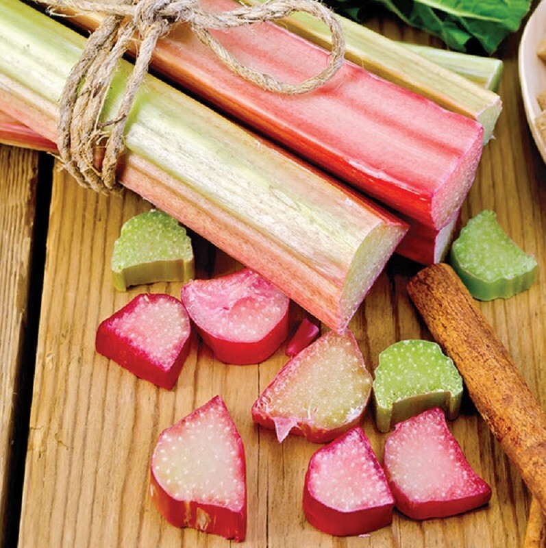50 Victoria Rhubarb Seeds Perennial Seeds
