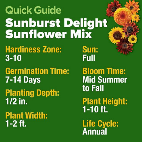 Sunburst Delight Sunflower Mix: 50 Seeds