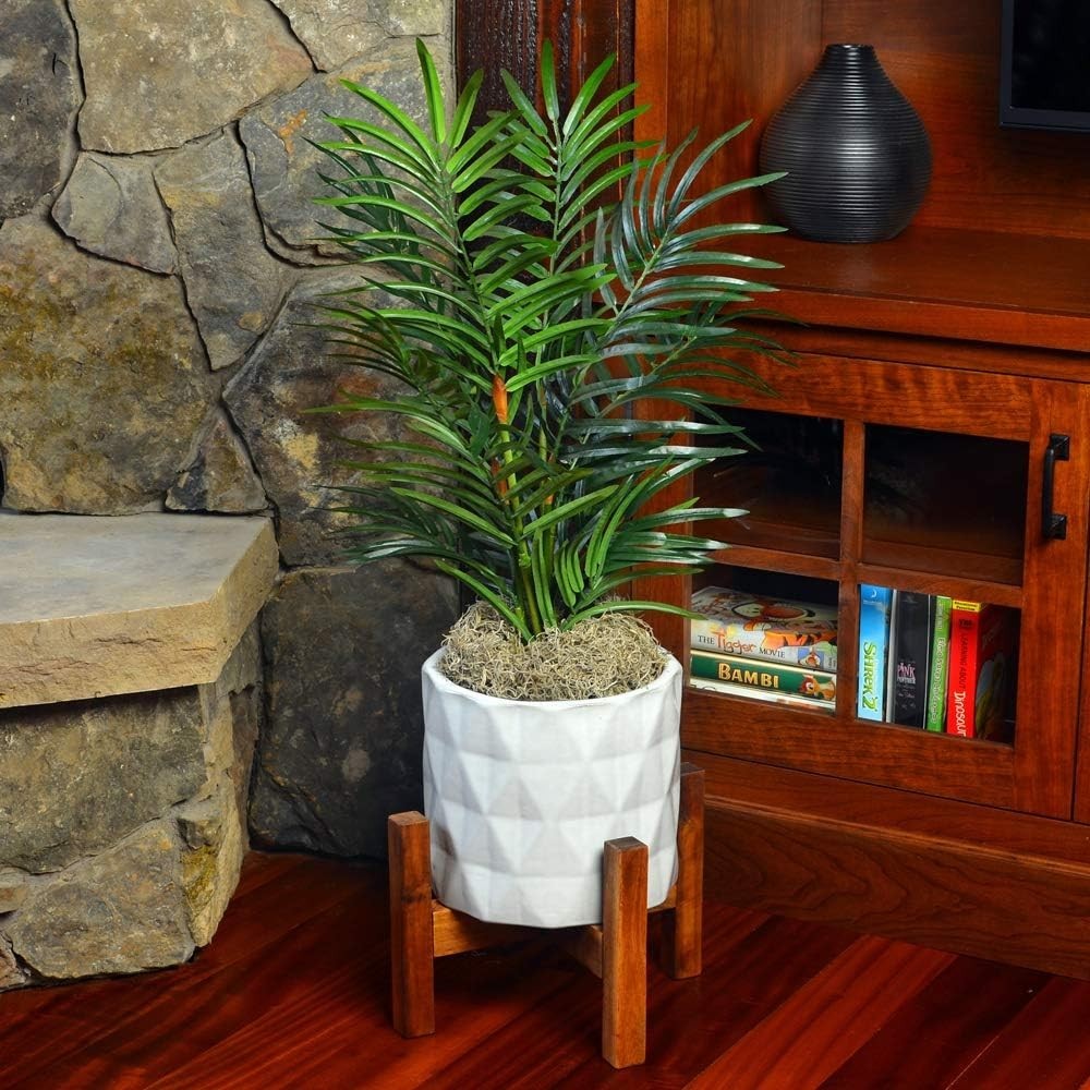 Versatile 250 Cubic Inches Spanish Moss – Ideal for Plants and Creative Crafts