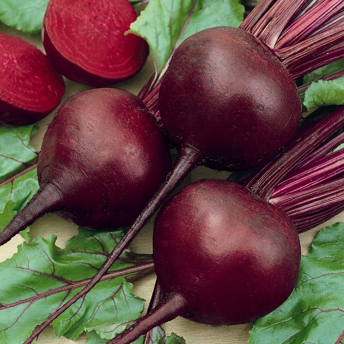 1 Lb Detroit Dark Red Beet Seeds – Everwilde Farms Mylar Seed Packet