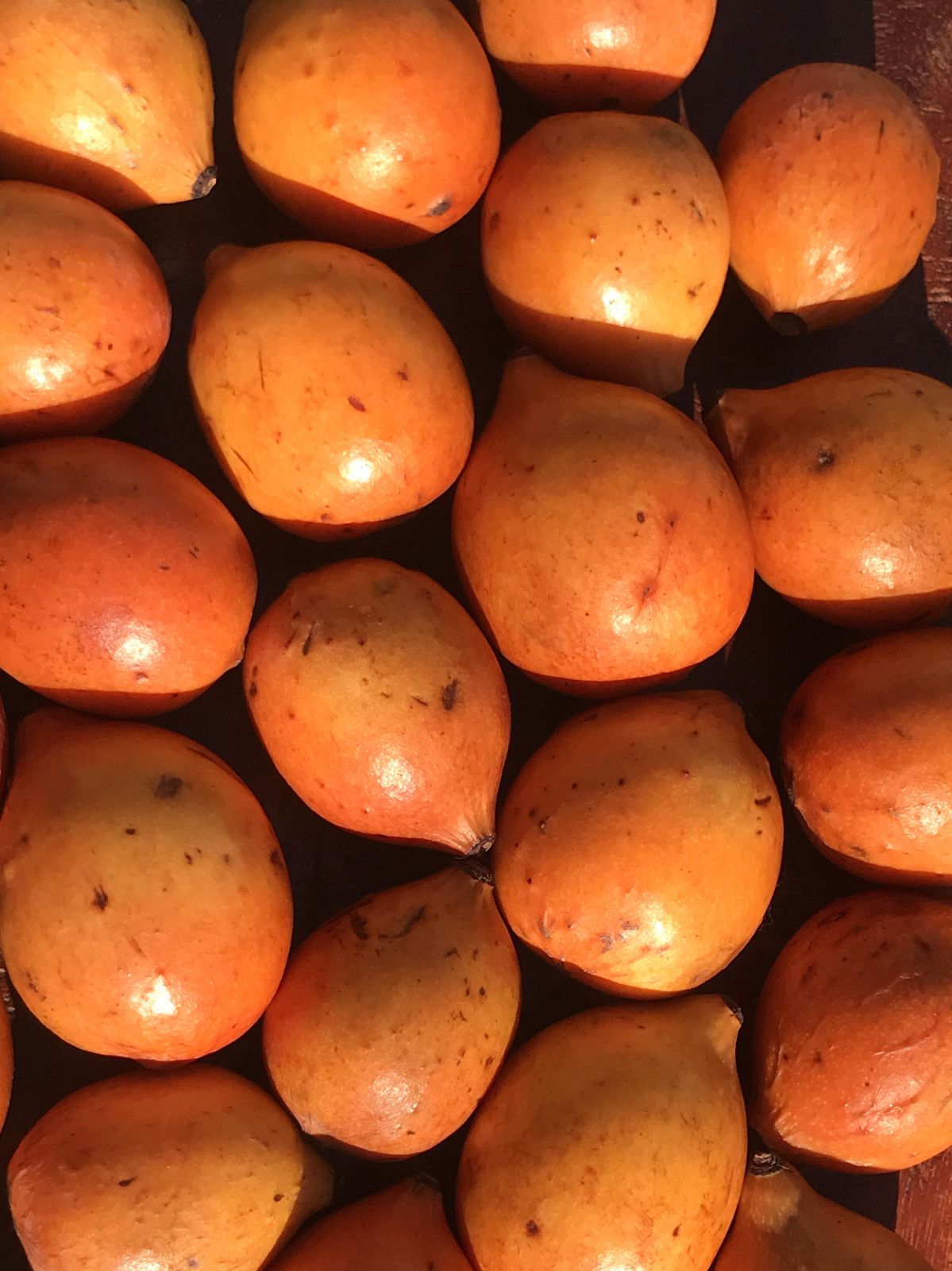 Achachairu Garcinia Humilis Orange Bolivian Mangosteen Tropical Fruit Tree Plant