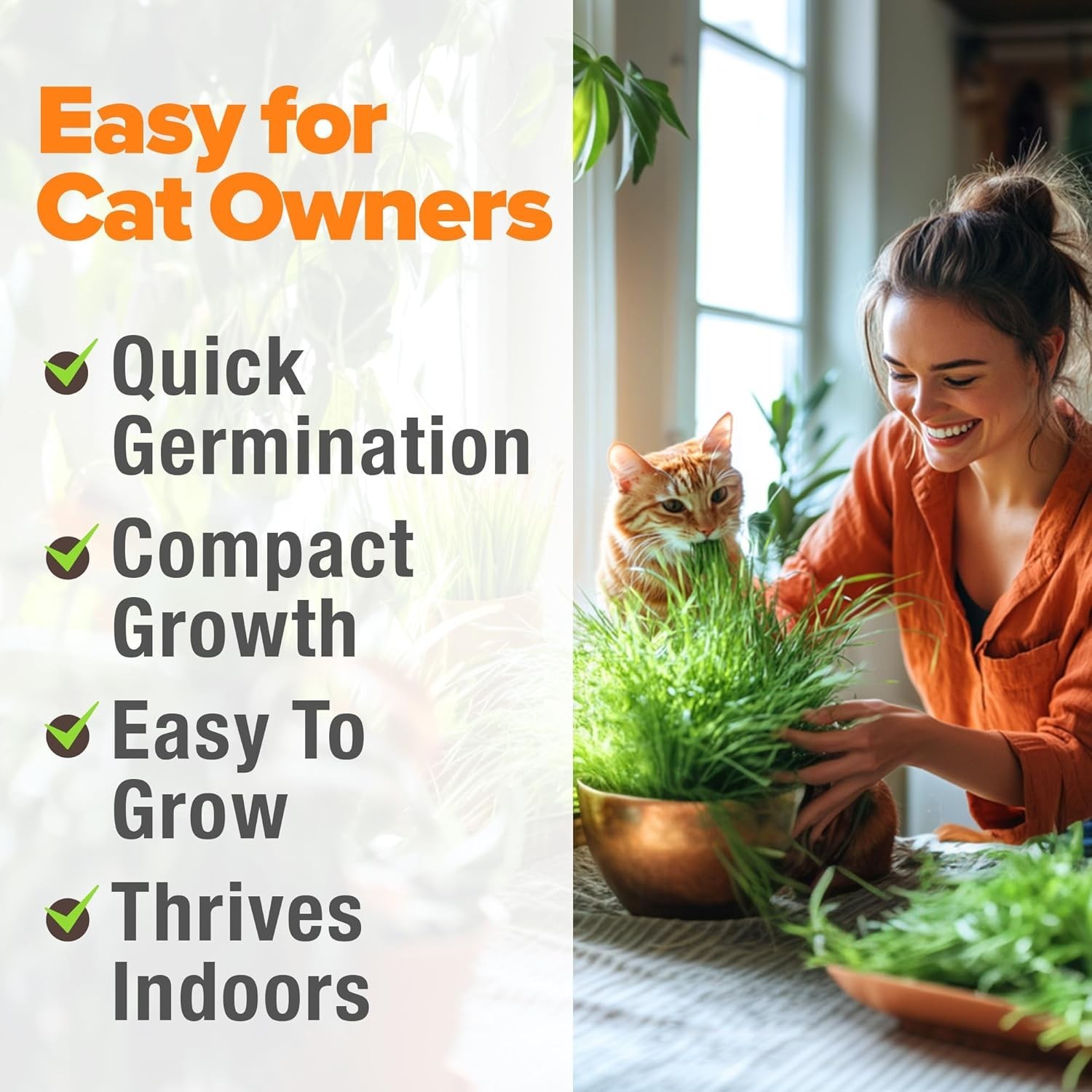 Low Maintenance Organic Cat Grass – 100% Heirloom Oat & Barley Seeds for Pets