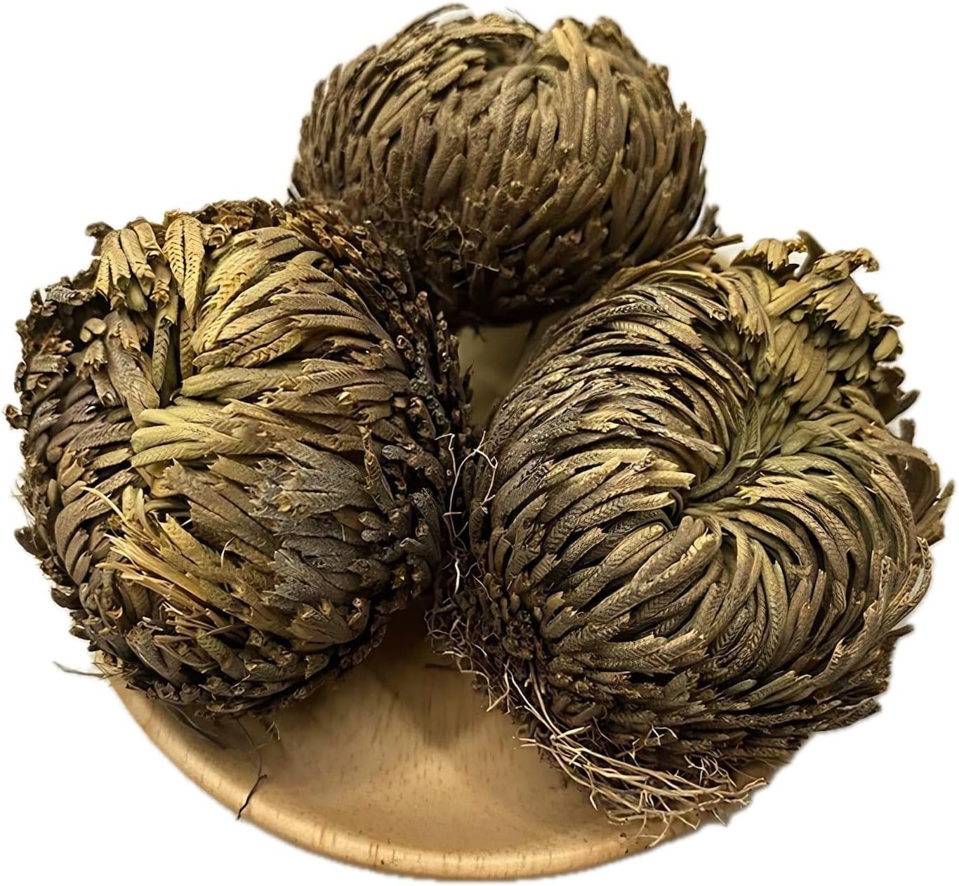 5 Pack Big 3.5″ Rose of Jericho Resurrection Plants, Flor De Jerico Original Dri