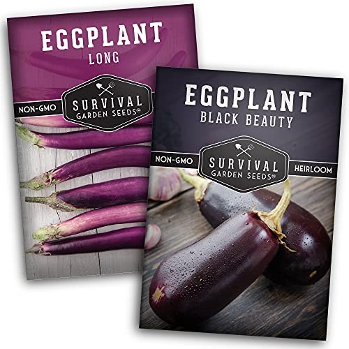 Eggplant Collection Seed Vault – Long Purple Eggplant and Black Beauty Bell