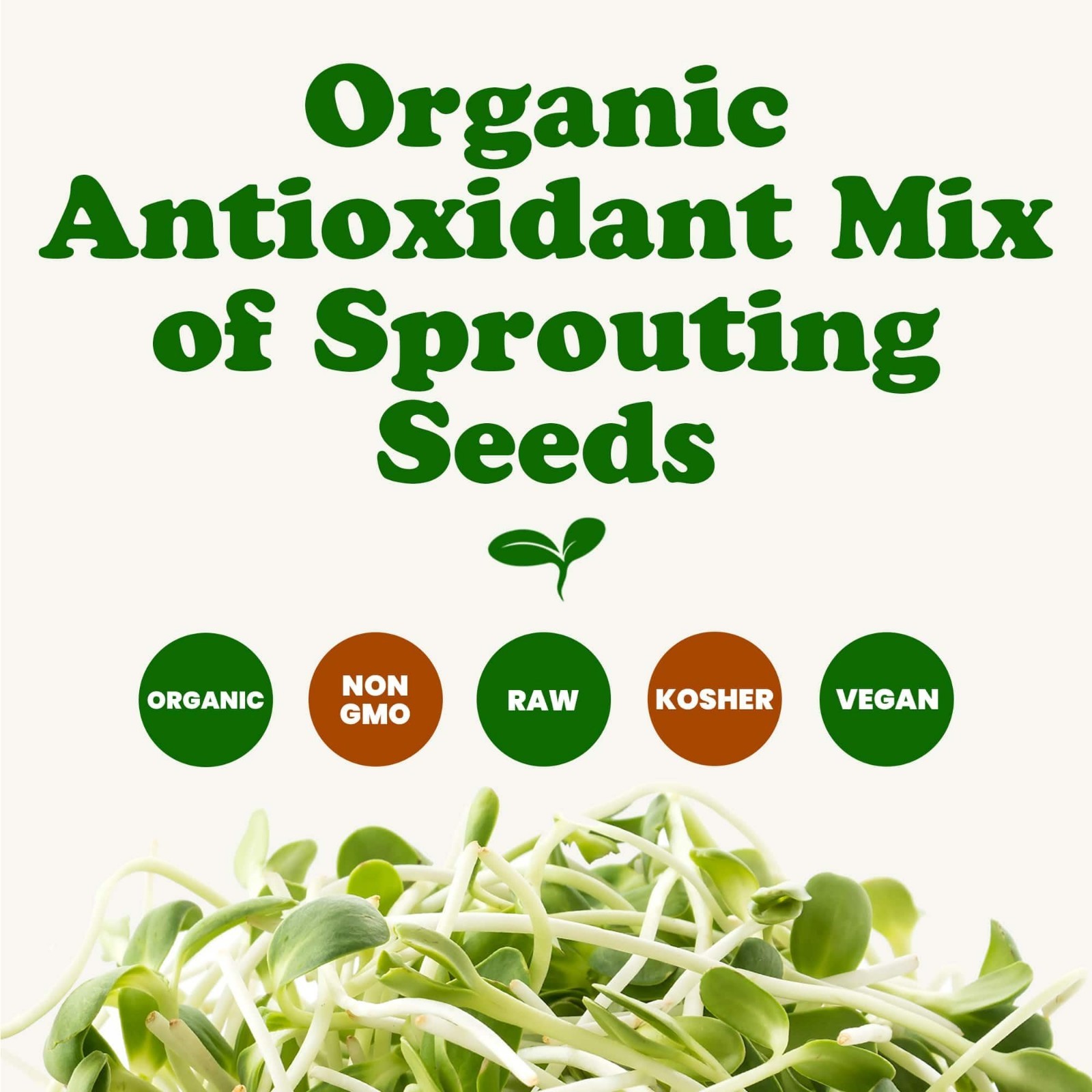 Organic Antioxidant Sprouting Seed Mix – 10 lbs Non-GMO Broccoli Alfalfa Clover