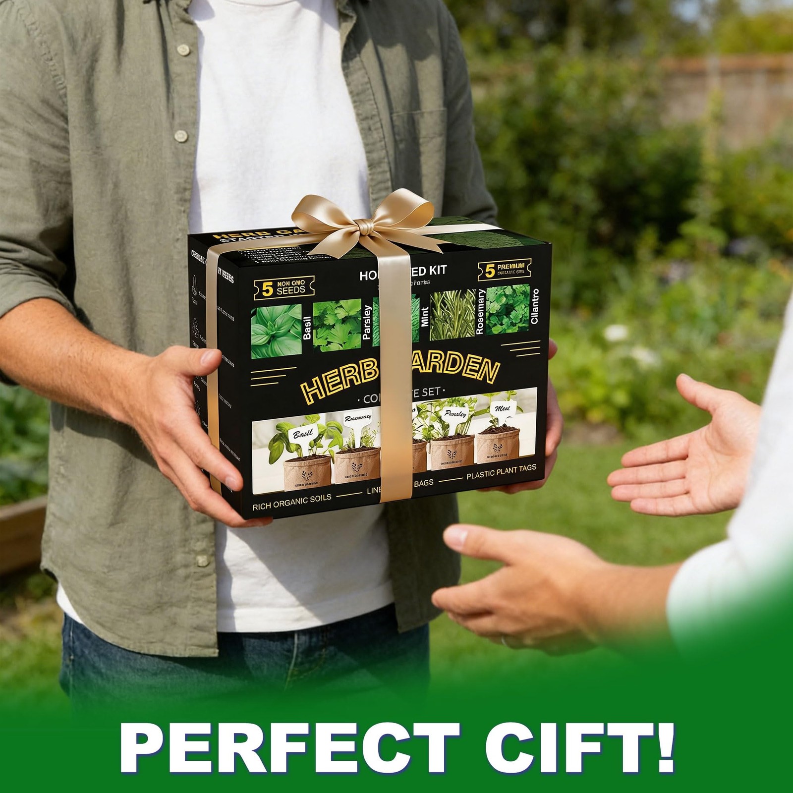 5 Herb Indoor Starter Kit, Complete Planting Set for Kitchen Herb Garden DIY …