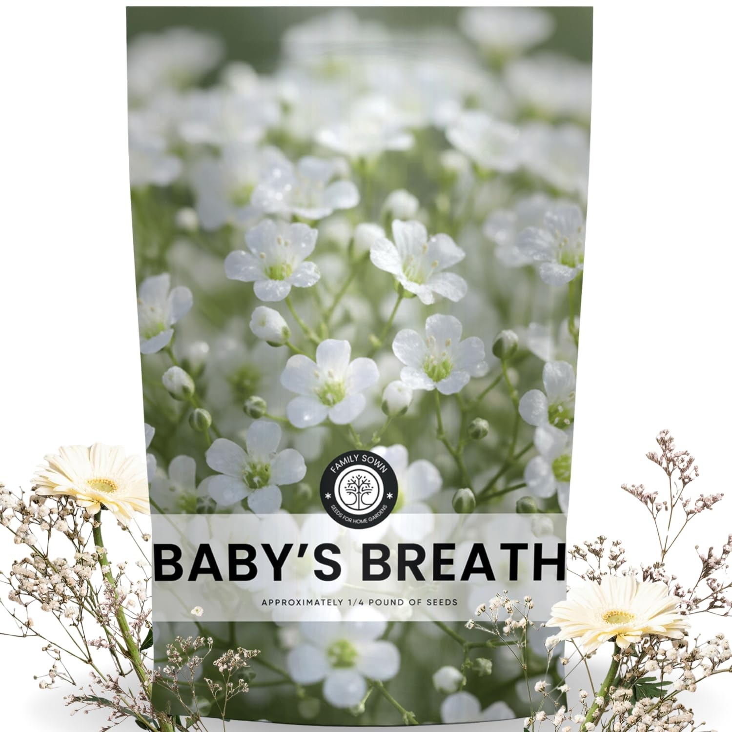 Buy 90,000 Baby’s Breath Seeds for Planting – 4 Ounce Pouch, 2026 Season