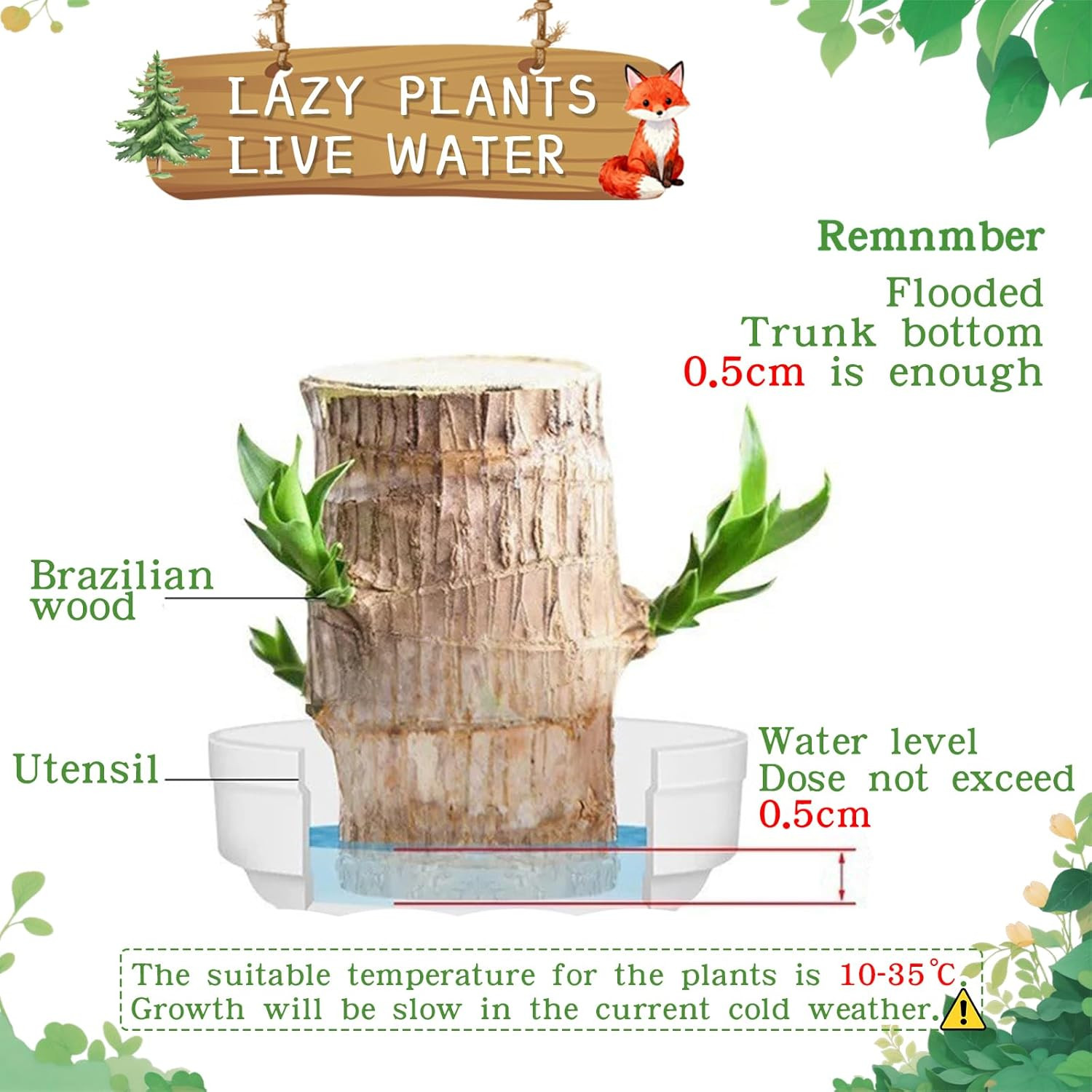 Brazilian Lucky Wood Plant,Fortune Brazil Wood Potted Plant with Little Fox Figu
