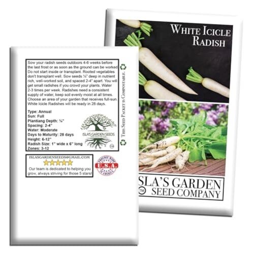 White Icicle Radish Seeds (Raphanus sativus)– 200+ Heirloom Non-GMO Seeds by