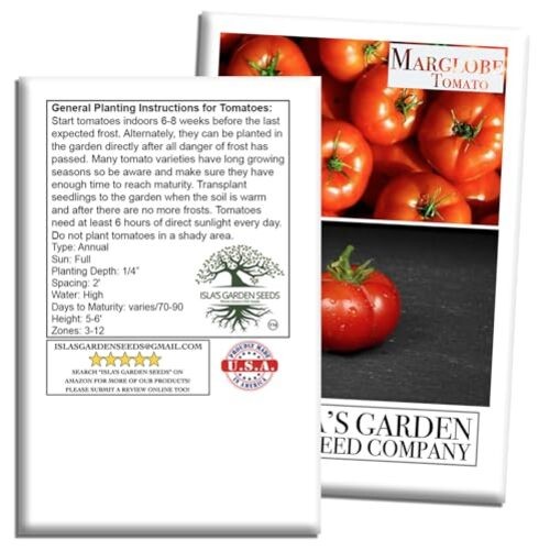 Marglobe Tomato Seeds (Solanum lycopersicum) – 500+ Non-GMO & Heirloom Seeds