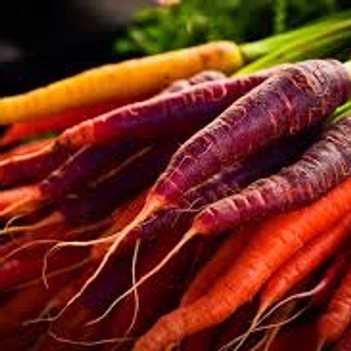 Rainbow Mix Carrot: 500 Seeds