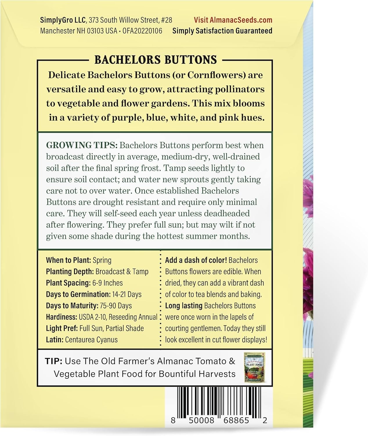 Bachelors Buttons Seeds – 500 Non-GMO Flower Seeds for Vibrant Blooms
