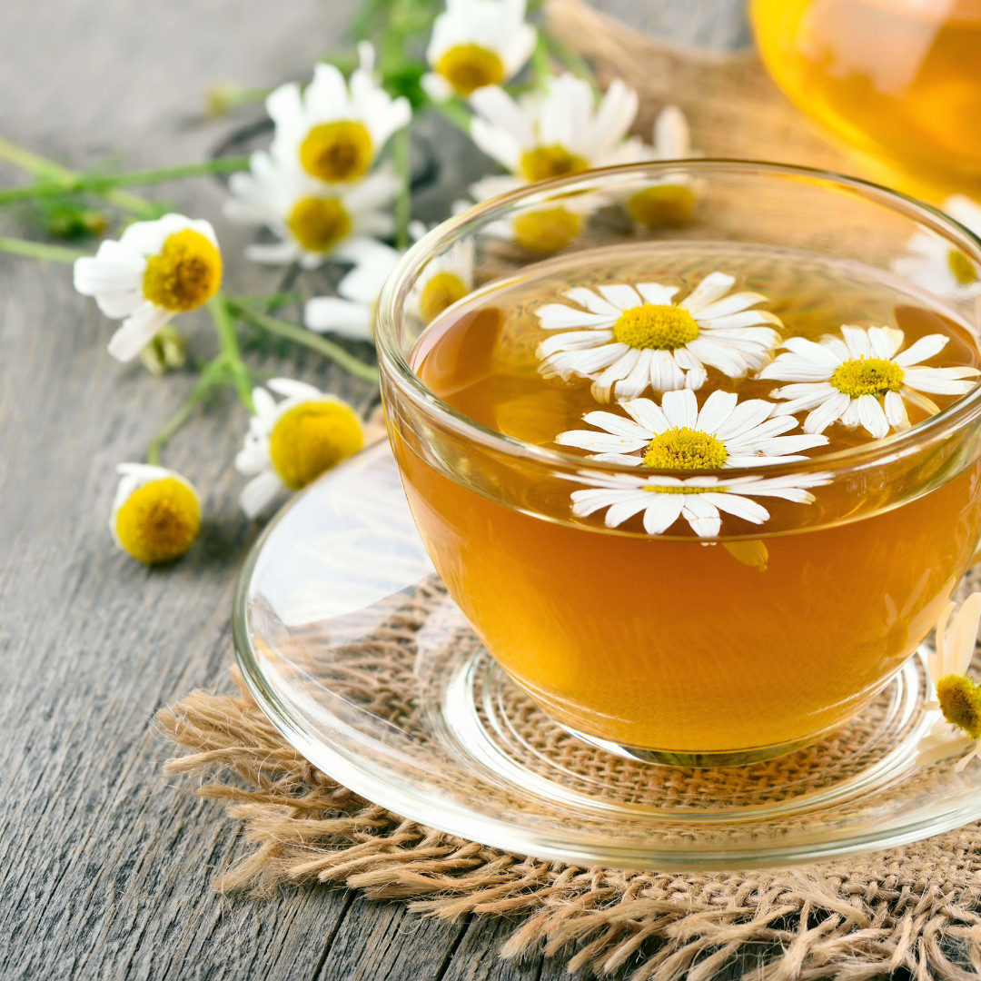 Fresh German Chamomile Seeds | Herbal Tea | Heirloom Non-GMO | Flower Seeds