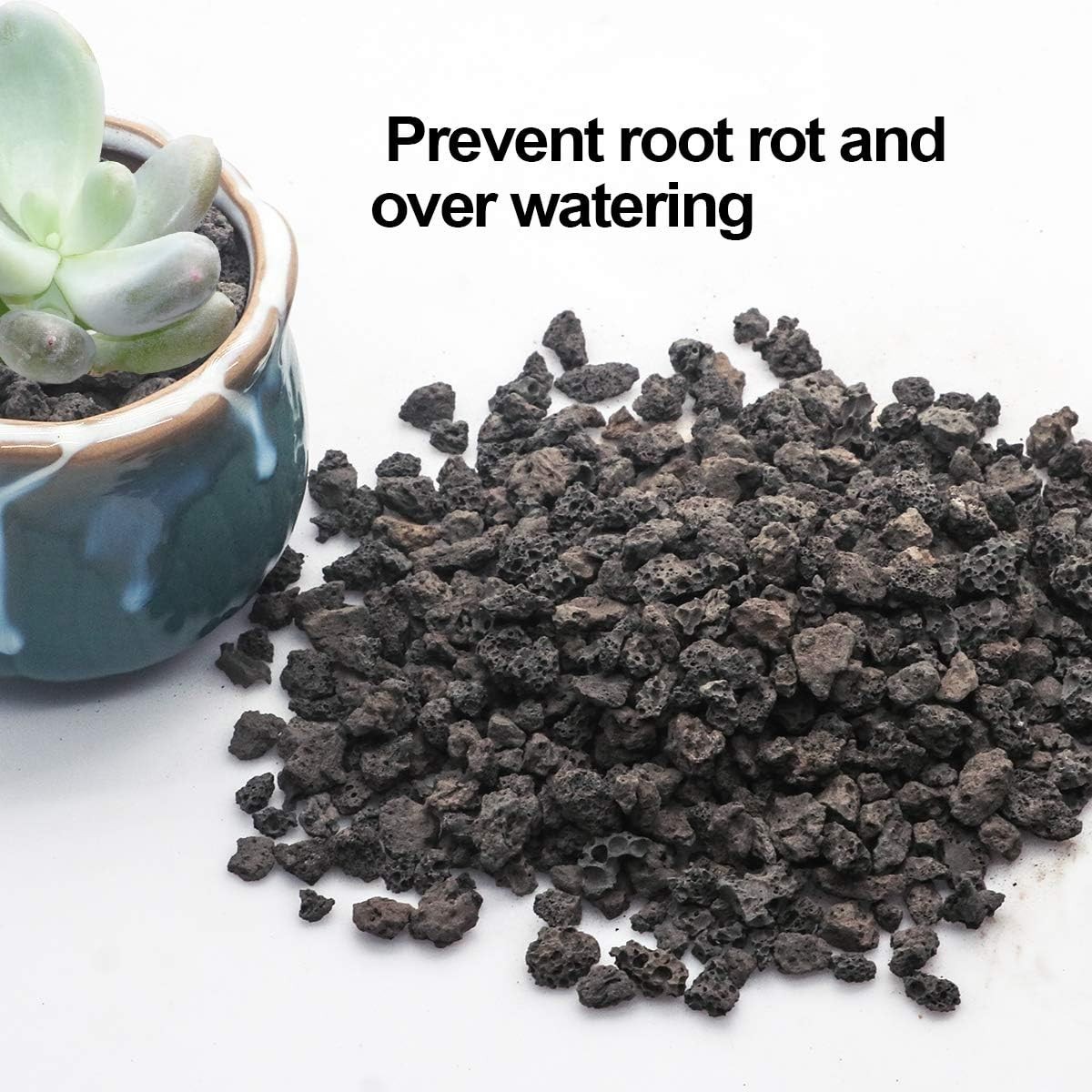 Versatile 2.2LB Black Horticultural Lava Rock – Best for Plants & Aquariums