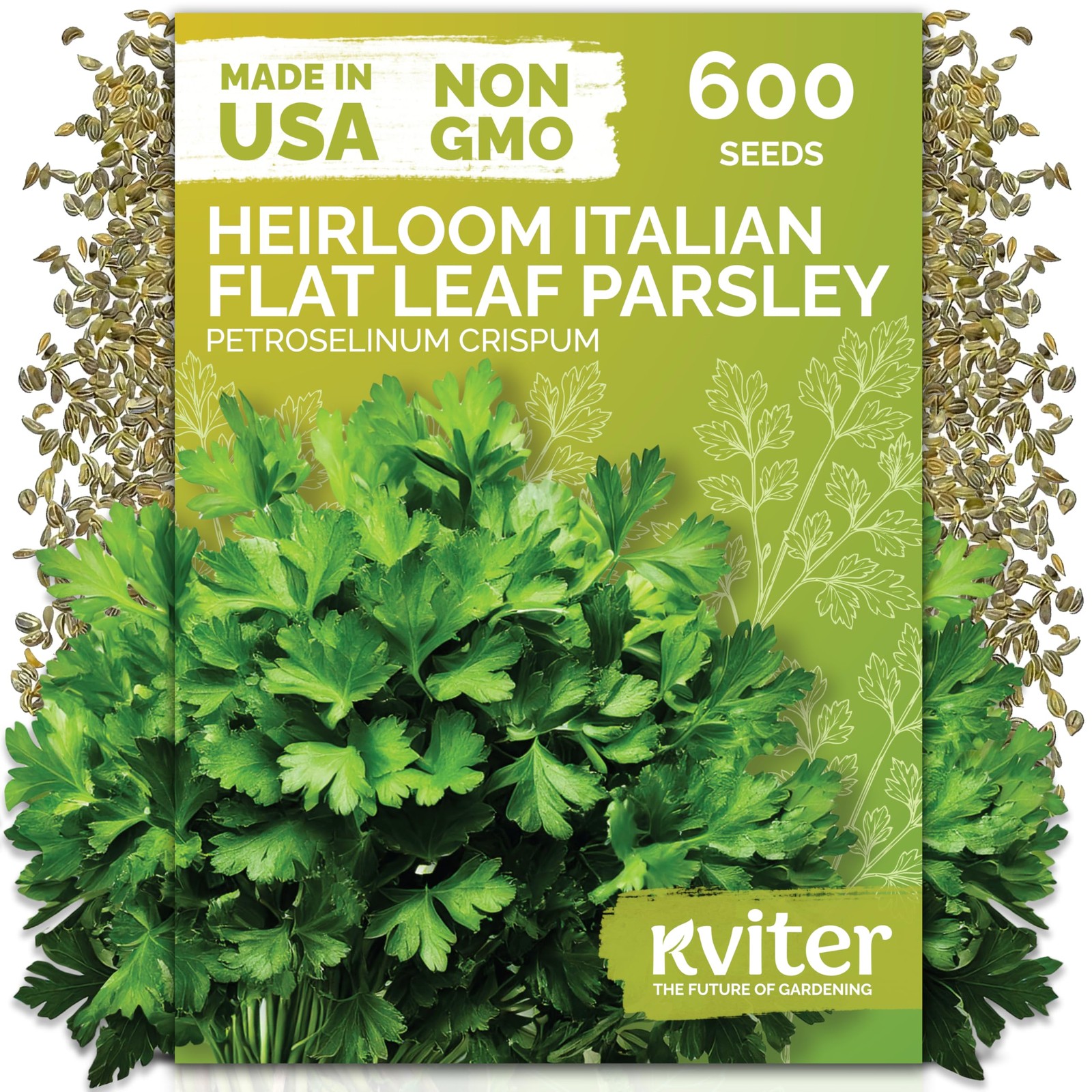 KVITER 600 Flat Leaf Italian Parsley Seeds (Petroselinum crispum)