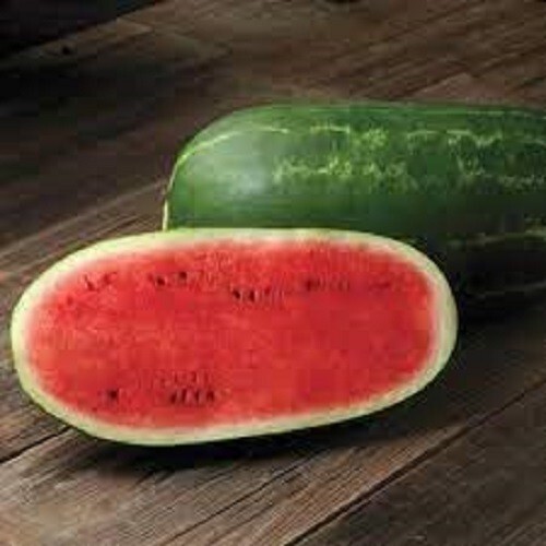 Premium Cal Sweet Supreme Watermelon – Fresh Heirloom Seeds – Universal Favorite