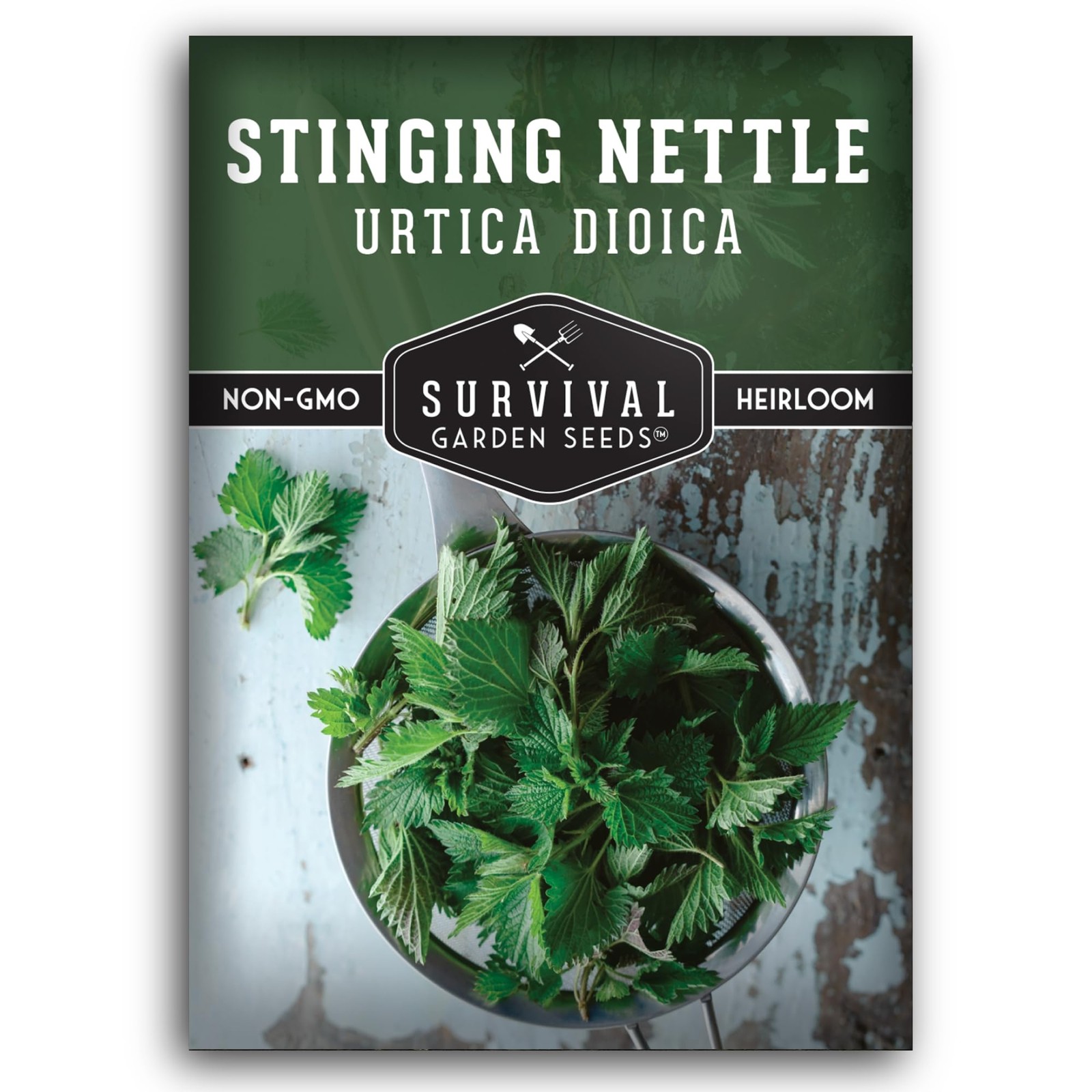 Stinging Nettle Seeds for Planting – Urtica Dioica Medicinal Herb & green