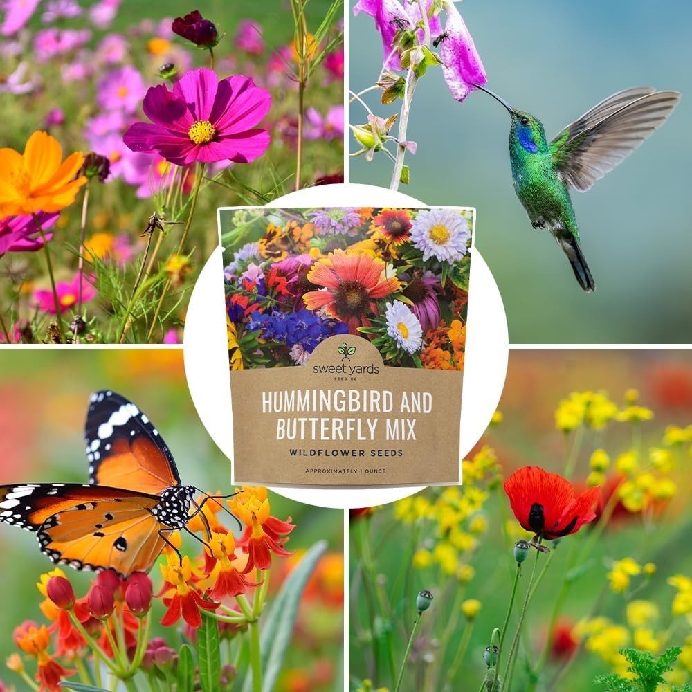 Gardening Delight: 1 oz Wildflower Mix to Attract Butterflies & Hummingbirds