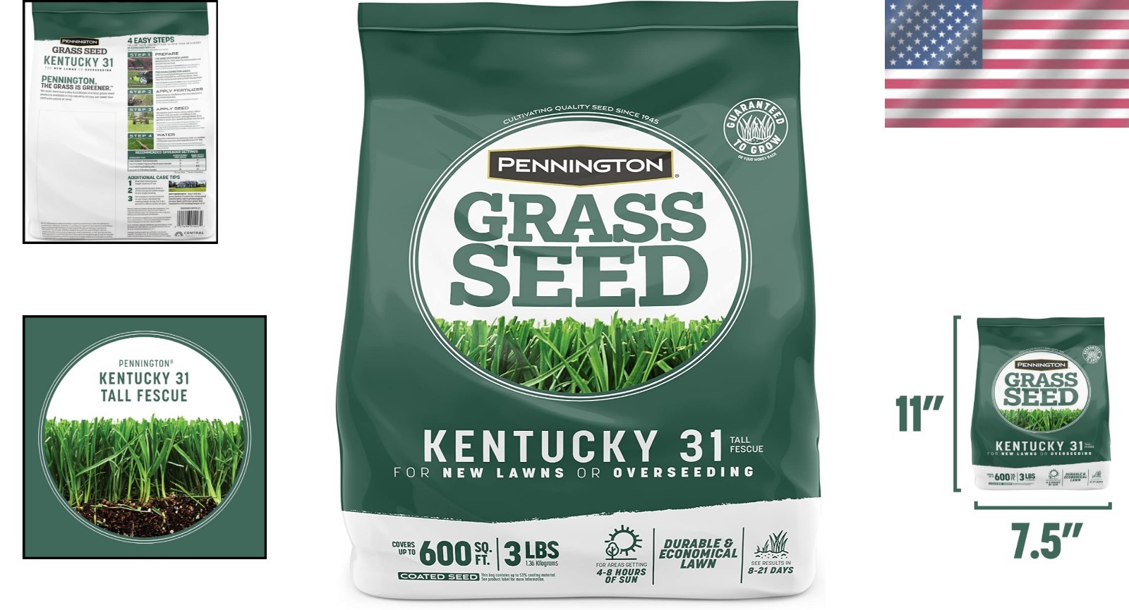 3 lb Kentucky 31 Tall Fescue Grass Seed – Fast Germination, Drought-Resistant