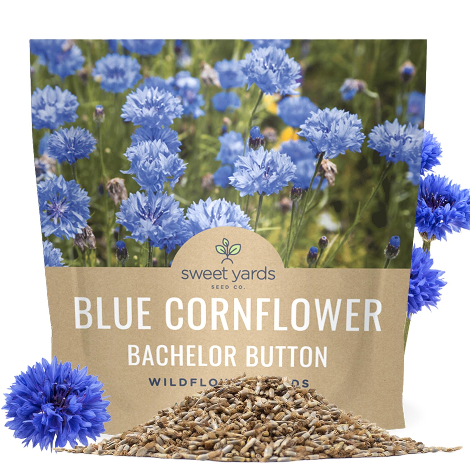 Blue Cornflower Seeds – Bachelor Buttons – Extra Large 1 Ounce Pouch,