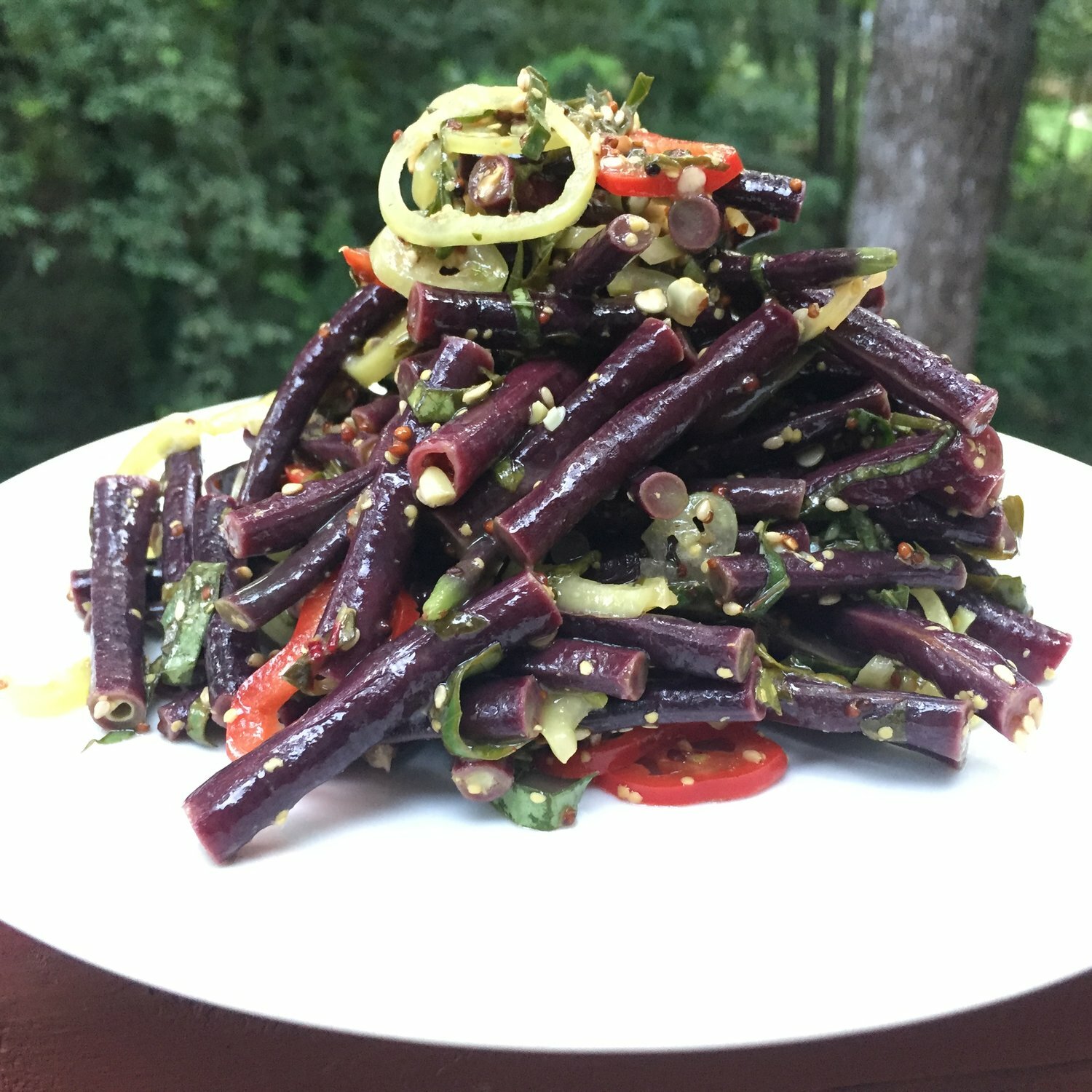 Purple Mart Yard Long Bean Seeds | Red Asparagus Edamame Cowpea Asian Seed 2024