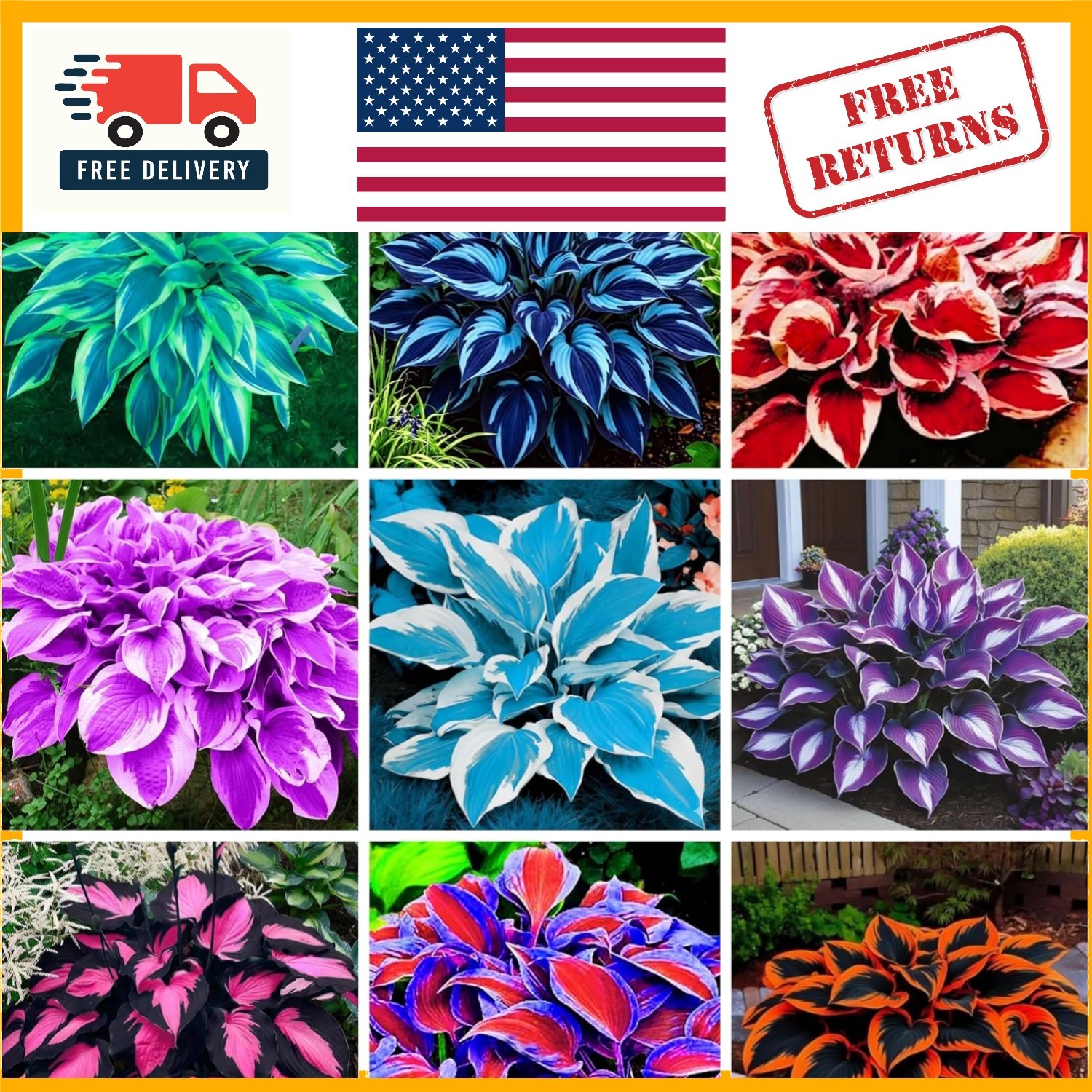 GMO-Free Hosta Seeds – Low Maintenance Perennial Blooms for Your Outdoor Oasis