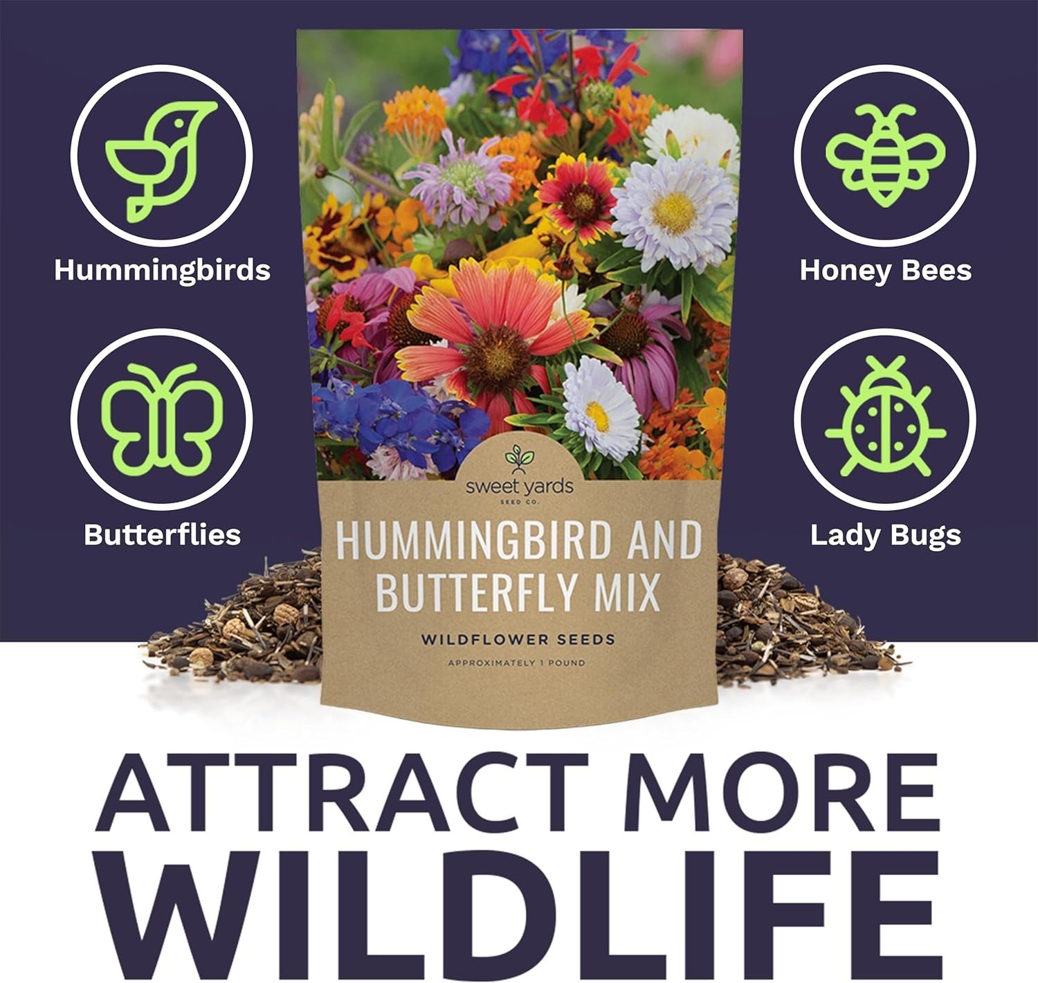 Bulk Wildflower Seeds Butterfly & Hummingbird Mix – 1 Pound Bag for Gardeners