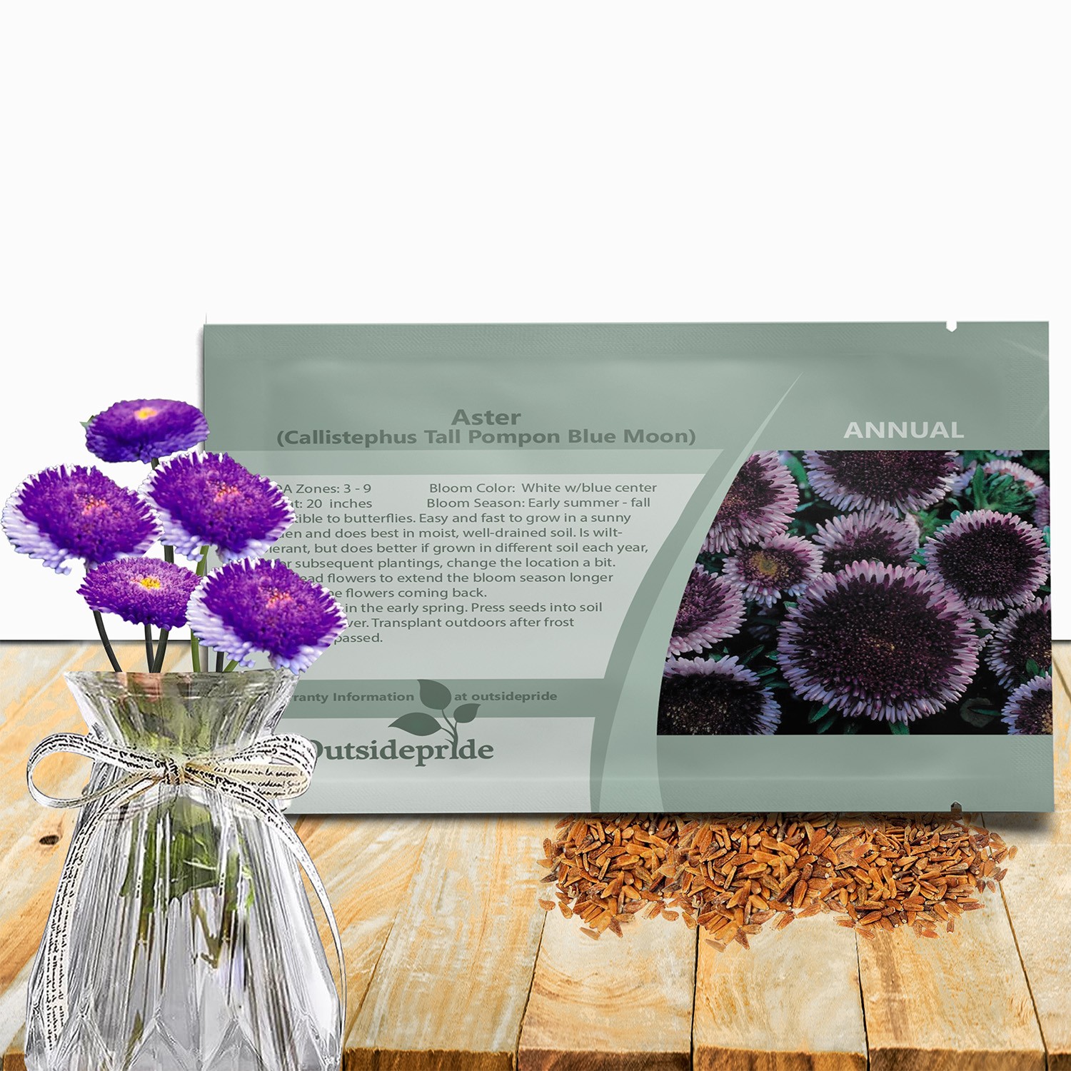 2000 Seeds Aster Seeds – Aster Callistephus Tall Pompon Blue Moon Flower Seed