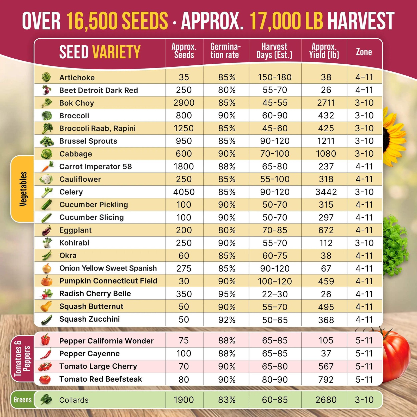 25 Most Popular Vegetable Seeds Variety Pack