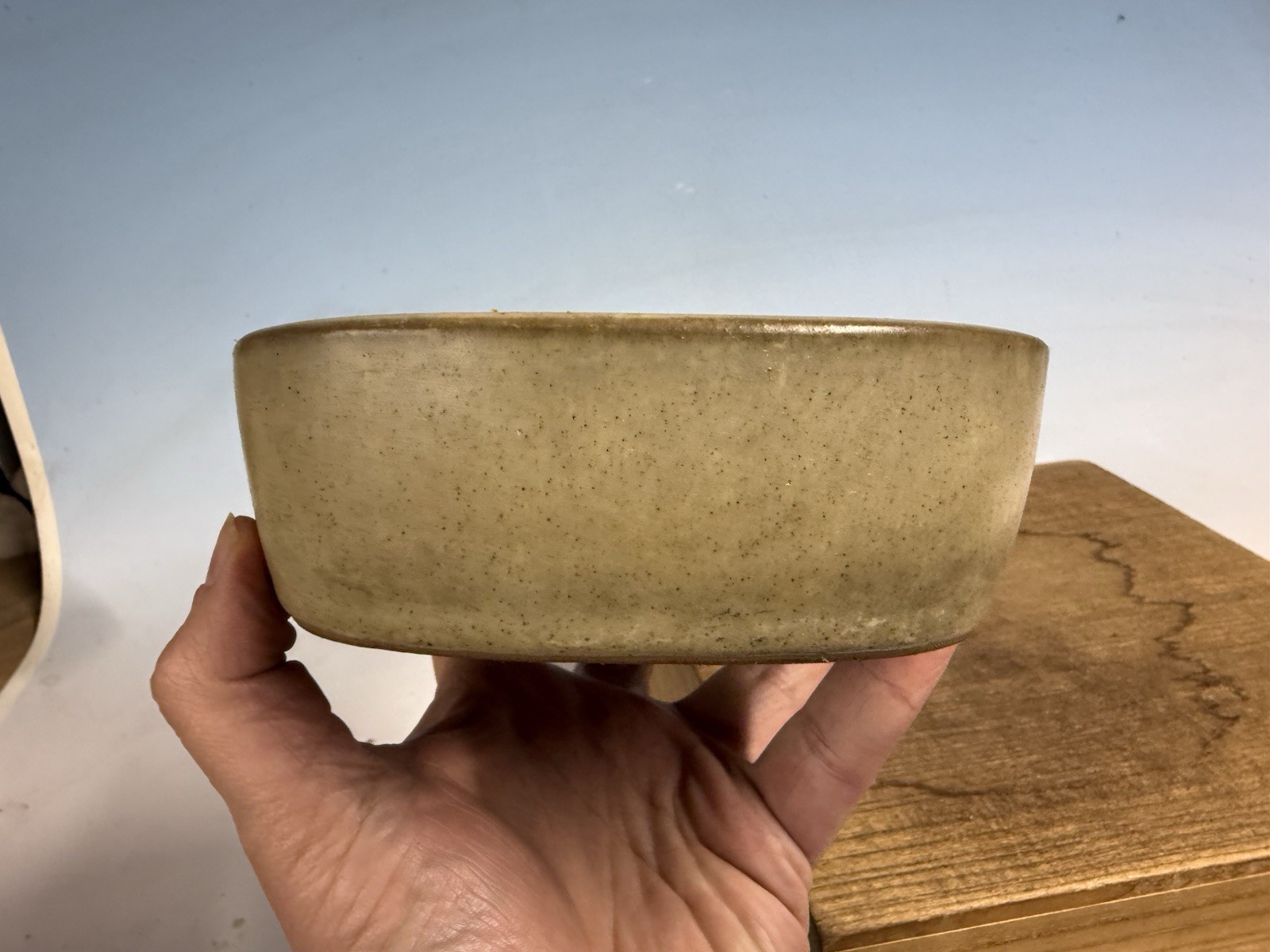 Cream Glazed Shohin Size Tokoname Bonsai Tree Pot By Yamafusa 7 3/4” Patina!!!