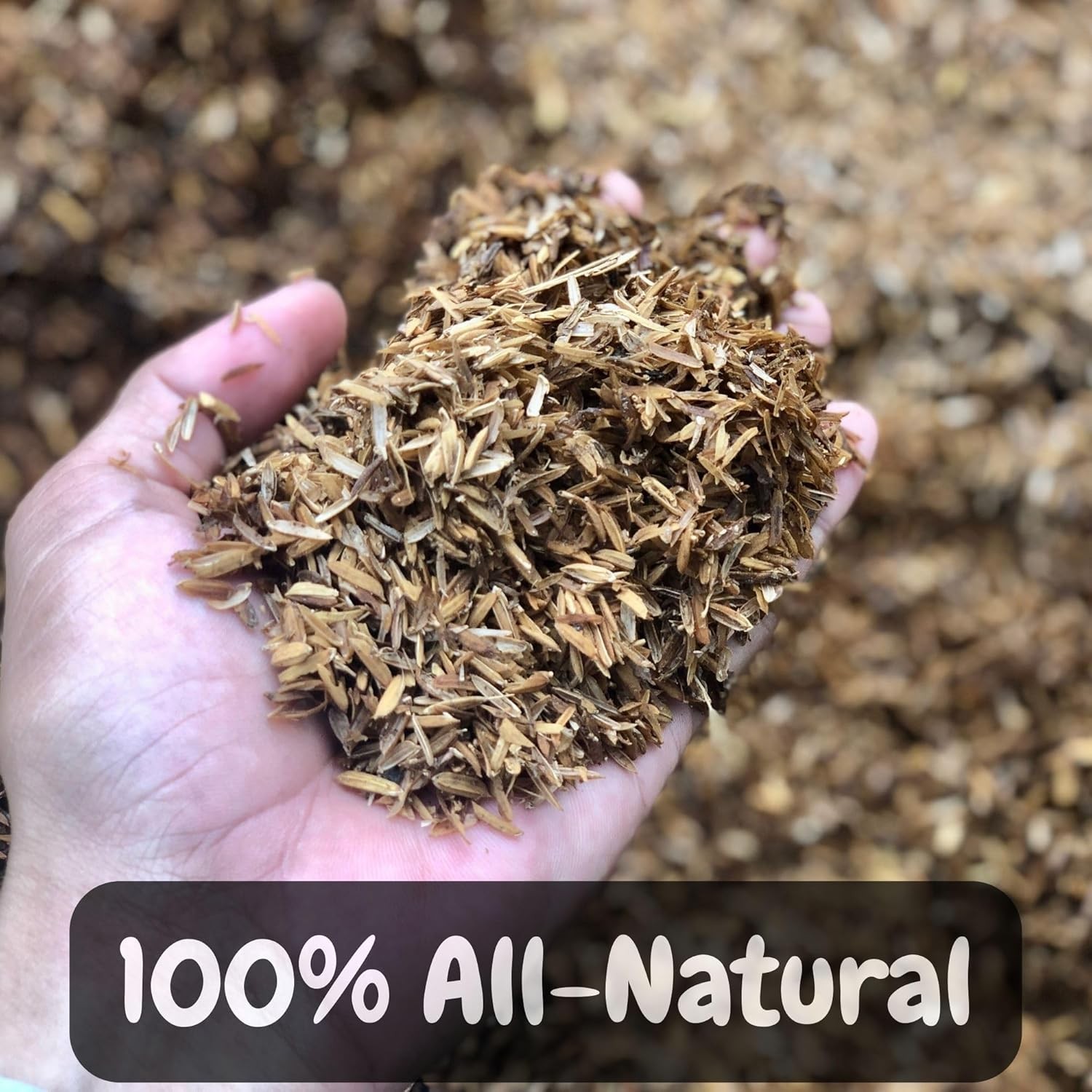 Horticultural Grade Rice Hulls (4 Quarts); All Natural Organic for 4 Quarts