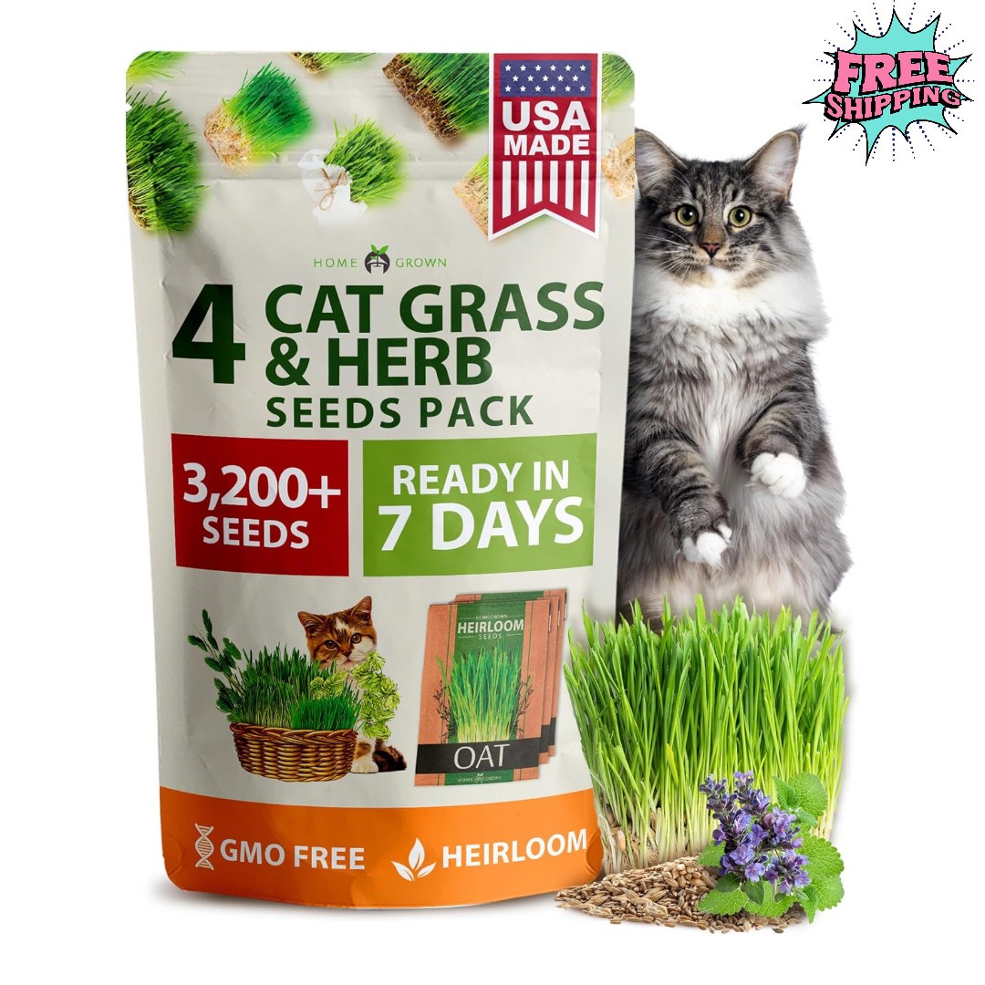 Cat Grass Refill 3200+ Seeds Catnip Oat Alfalfa Mix Fast Growth Free Shipping