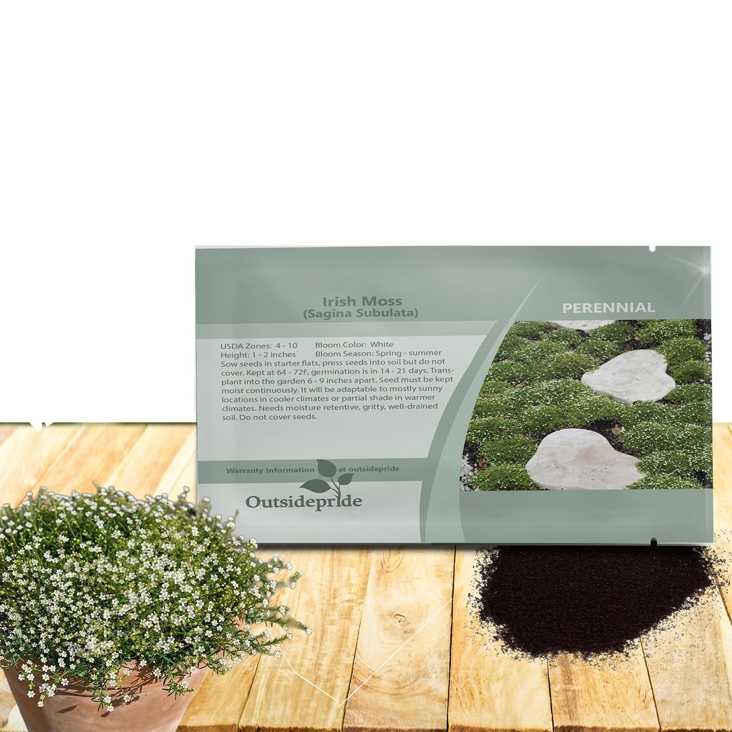 Outsidepride Irish Moss Ground Cover Seeds – 10000 Pcs 10000 Seeds, white