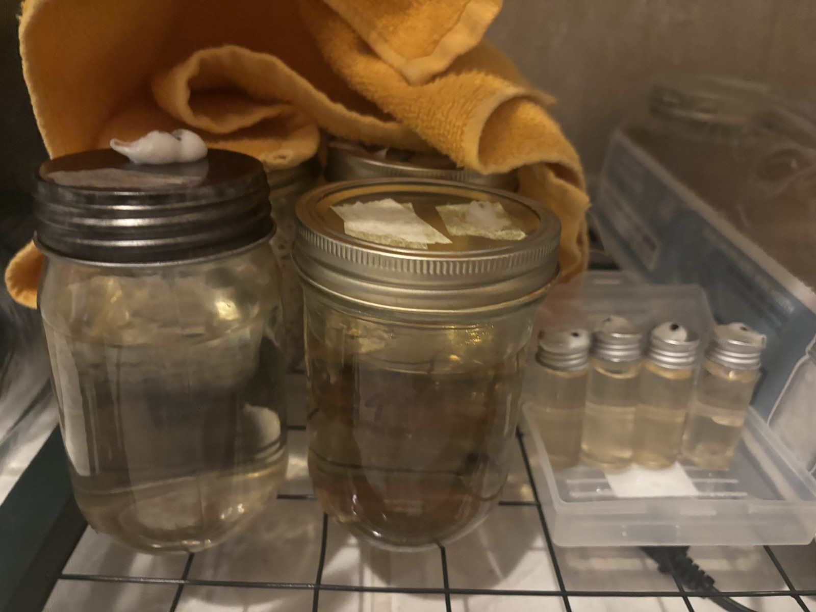 500 mL Grain Spawn and Liquid Culture Sterile Inoculation Chamber