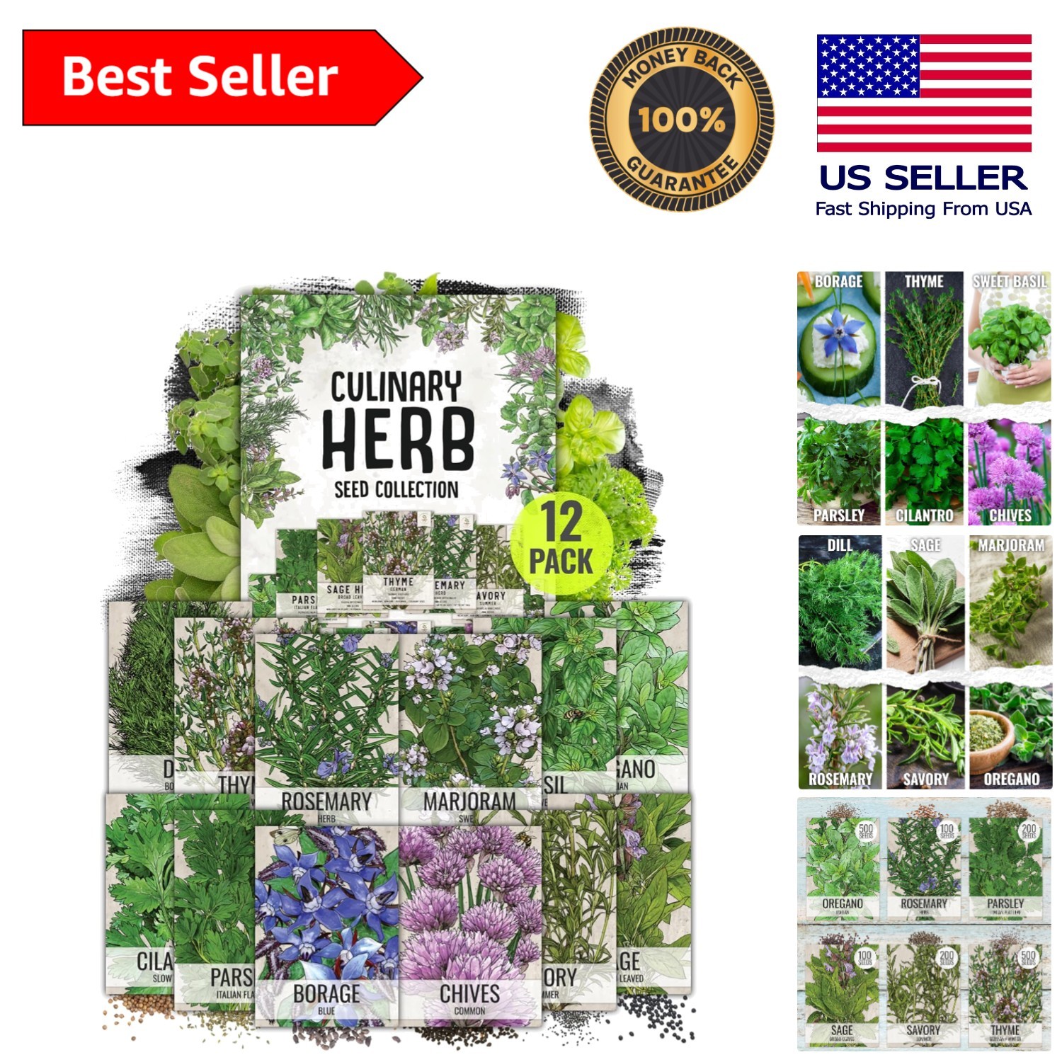 Culinary Herb Seeds Variety Pack – 12 Heirloom, Non-GMO Packets for Home Gardens