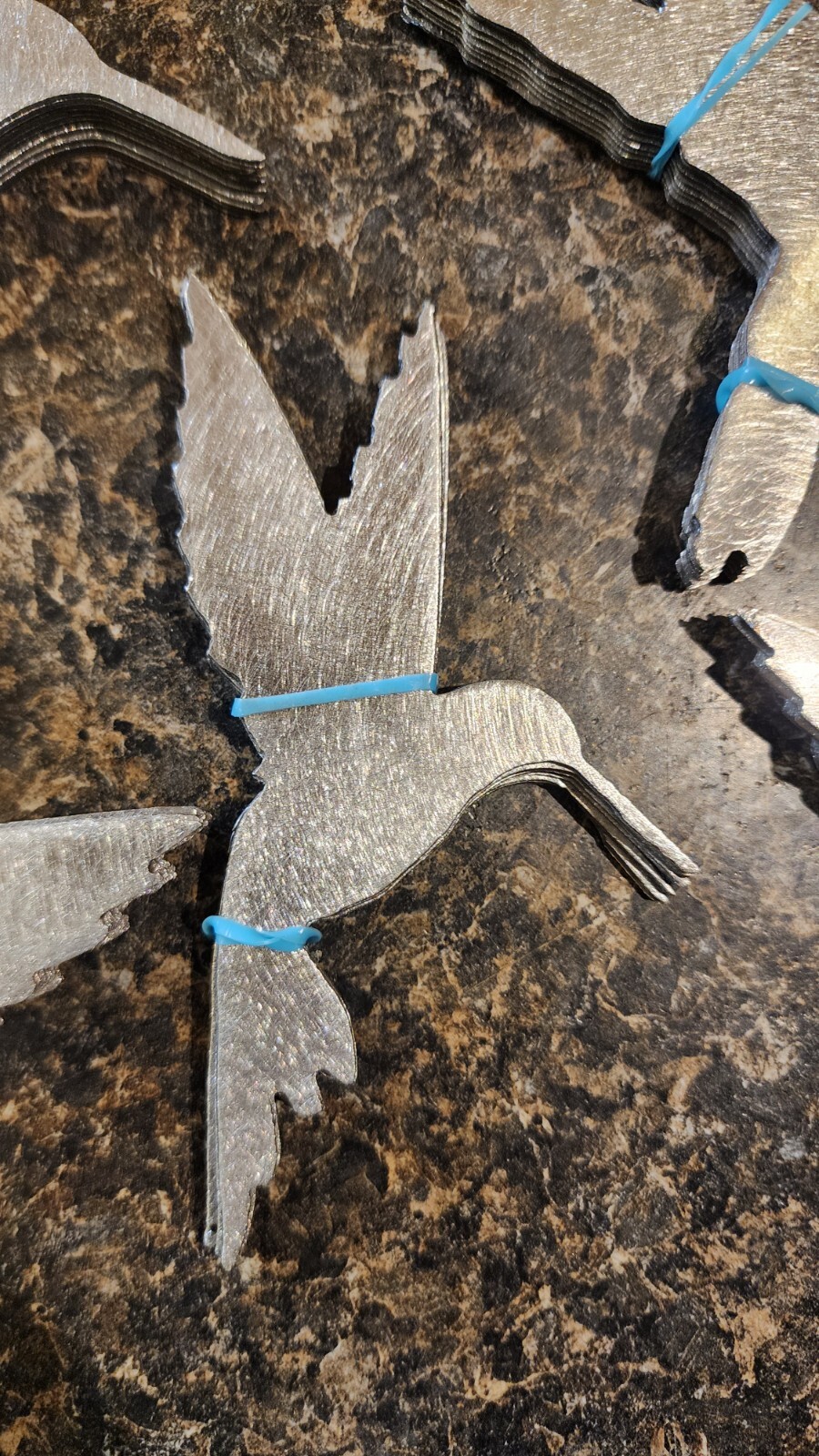 “5 Pack Humming Bird Set”