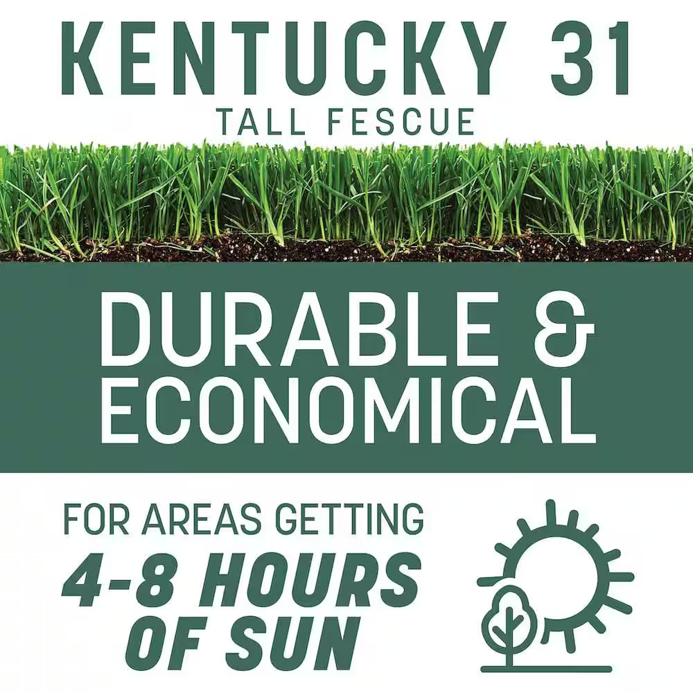 Kentucky 31 Tall Fescue 7 Lb. 1,400 Sq. Ft. Grass Seed