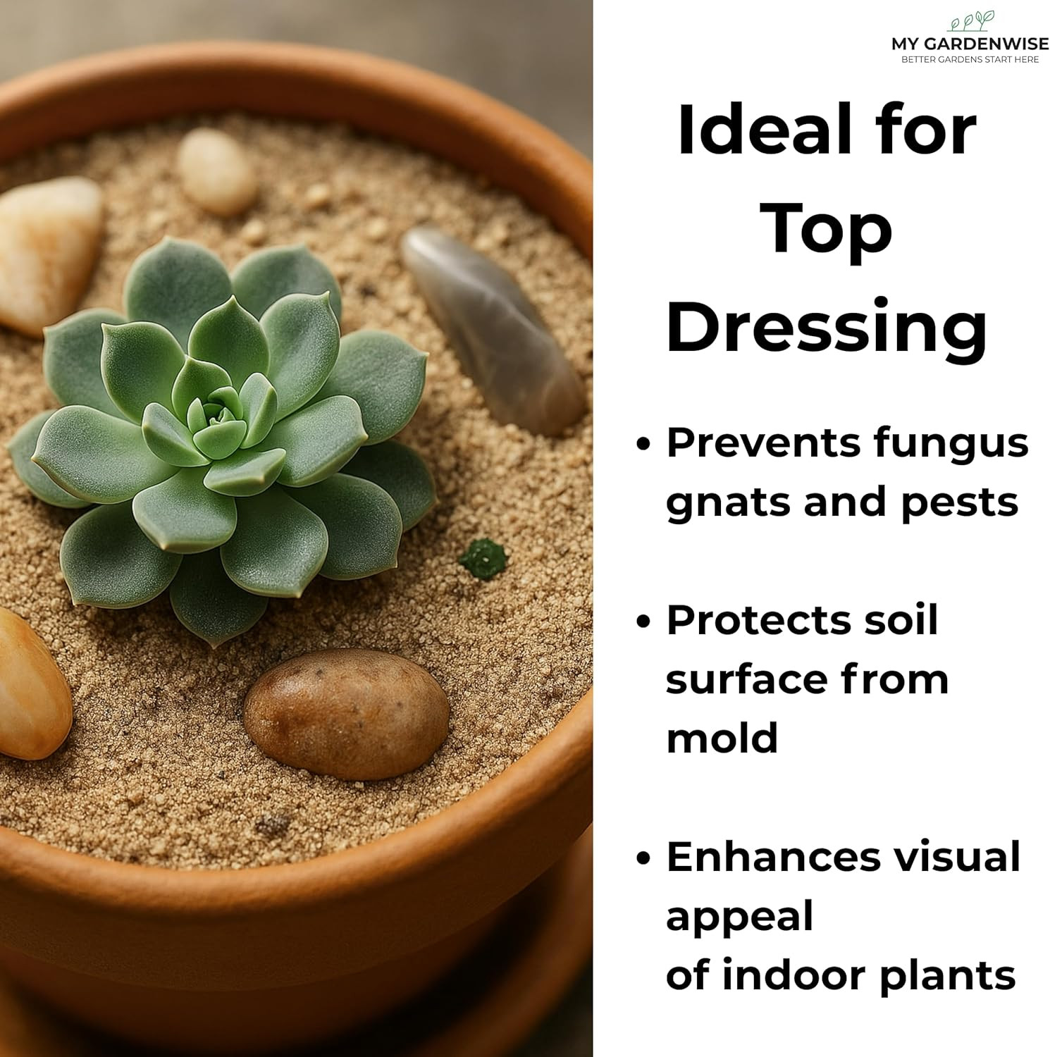 Fine Sand for Plants – Horticultural Sand for Succulents, Cactus, Potting Mixes,