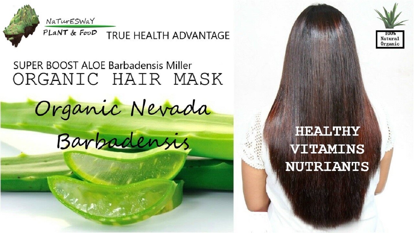 Aloe Vera Leaf Barbadensis Organic Antioxidant, Skin, Hair Growth, 16 -64oz