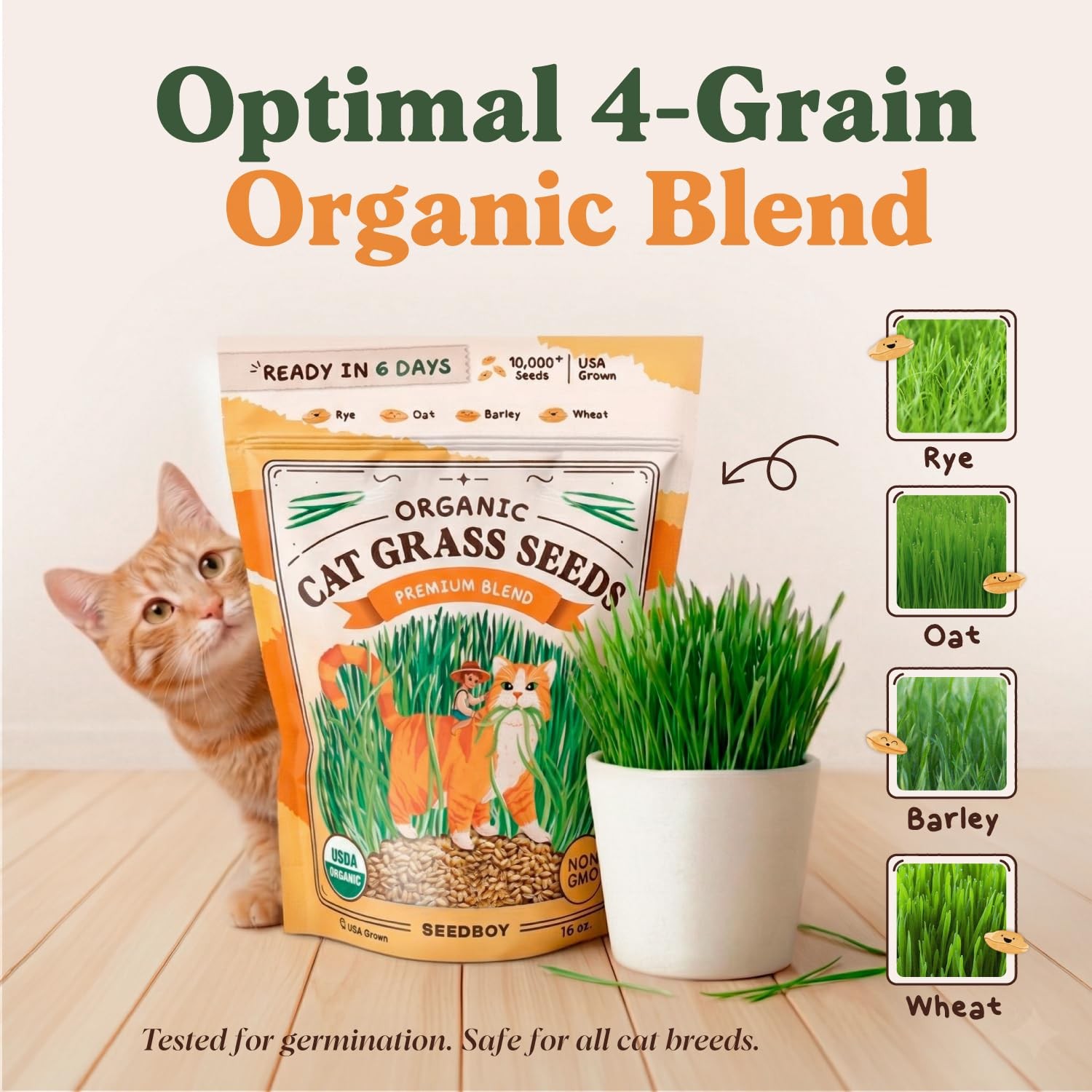 Organic Cat Grass Seeds for Planting, Non-GMO Wheat, Oat, Rye, and Barley Cat…