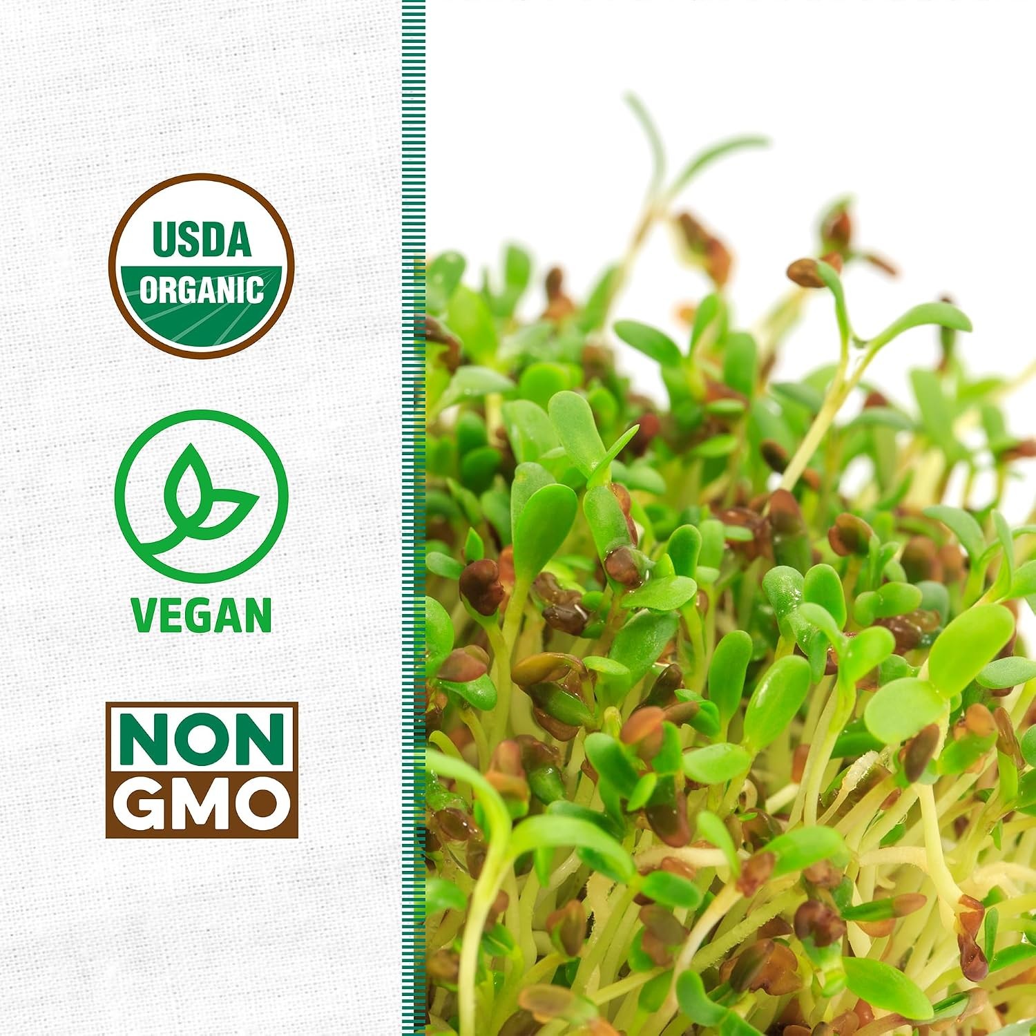 Back to the Roots 100% Organic Alfalfa Seeds | 1 Pound Non-GMO | Nutrient Dense,