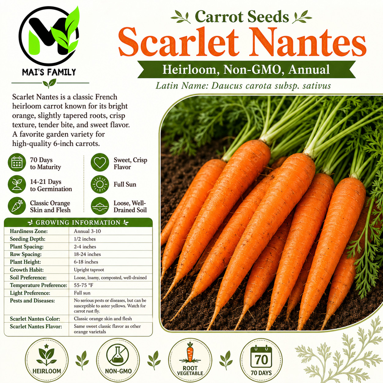 Carrot Seeds – Scarlet Nante vegetable GARDEN culinary SOUPS FREE SHIPPING