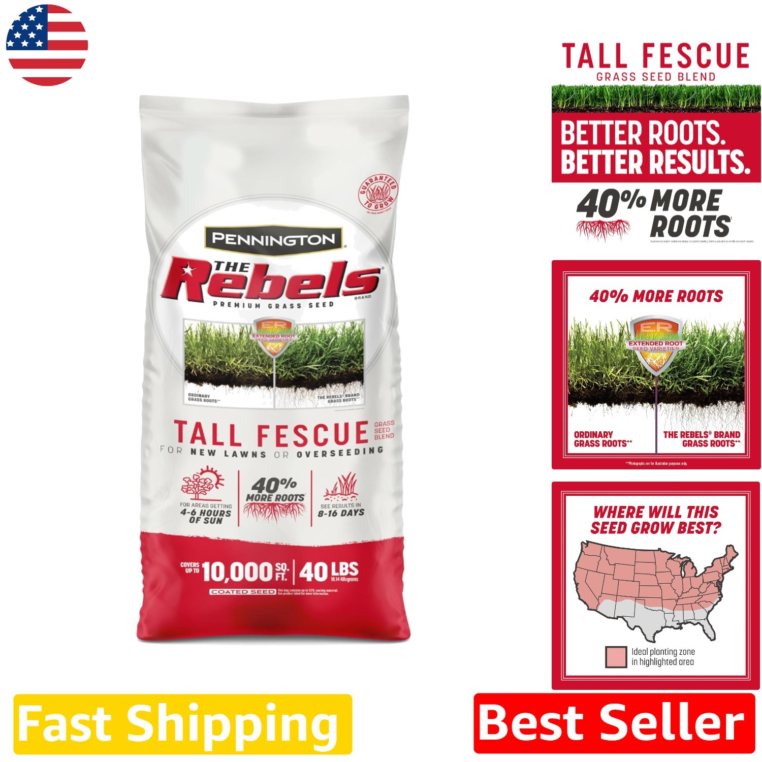Tall Fescue Grass Seed 40lb – Dense Roots, Drought/Heat Tolerant, 4-6 Hrs Sun