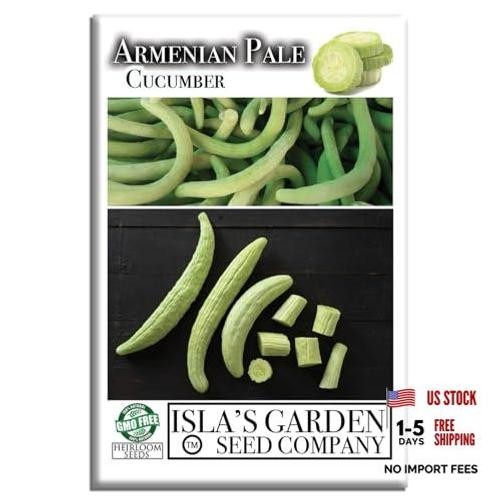Armenian Pale Green Cucumber Seeds (Cucumis sativus) – 100+ Non-GMO & Heirloom