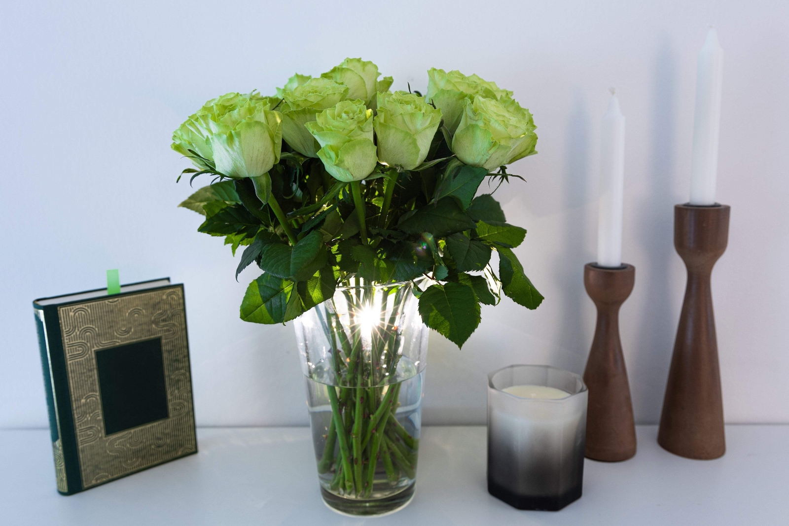 5 GREEN ROSE Rosa Bush Shrub Perennial Flower Seeds *Flat S/H